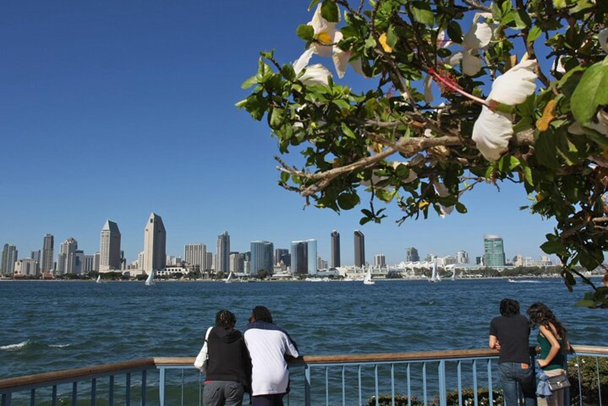 San Diego Coastal Gems Scenic Tour - Image 6