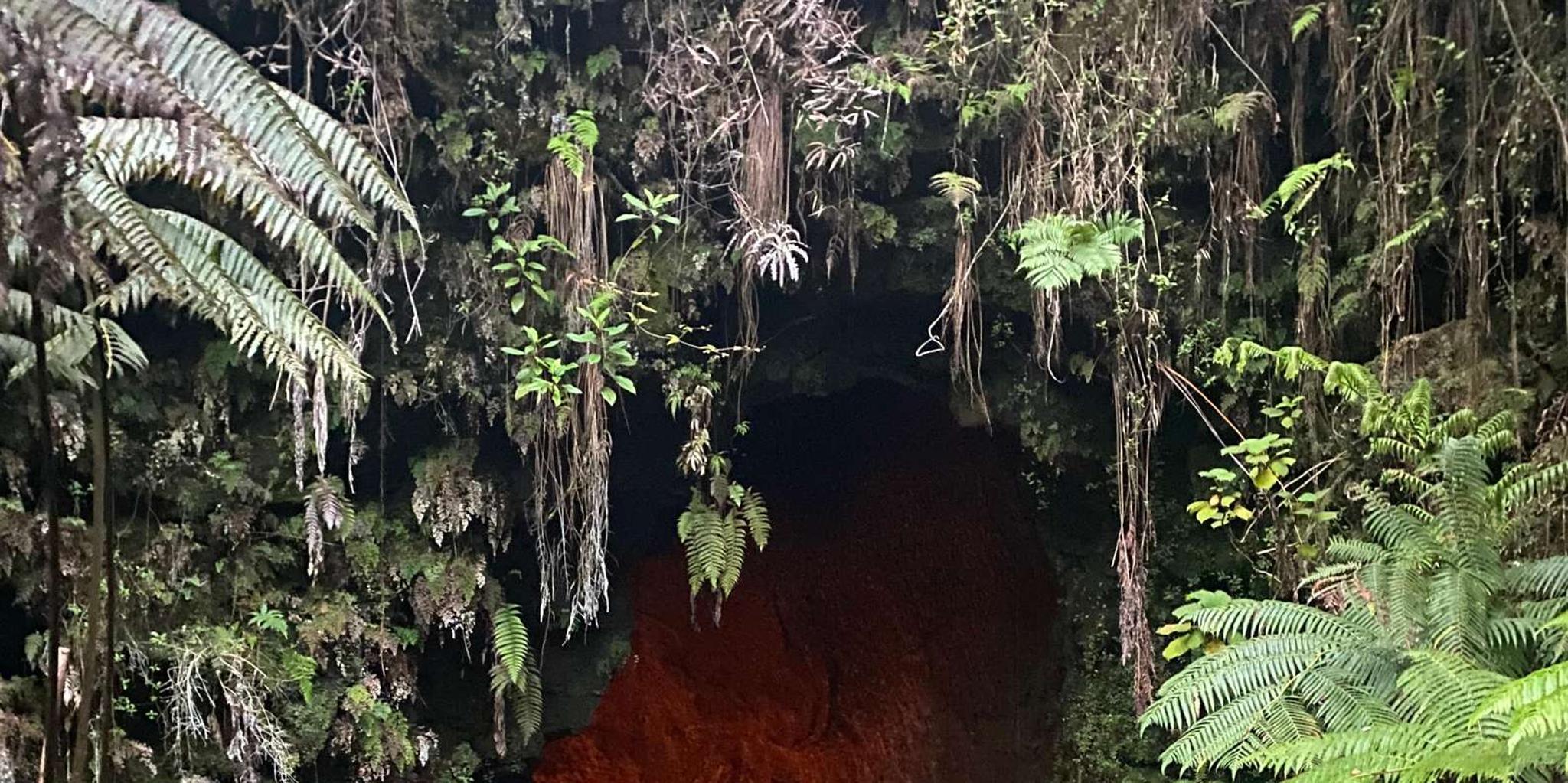 Hilo Volcano and Waterfall Excursion