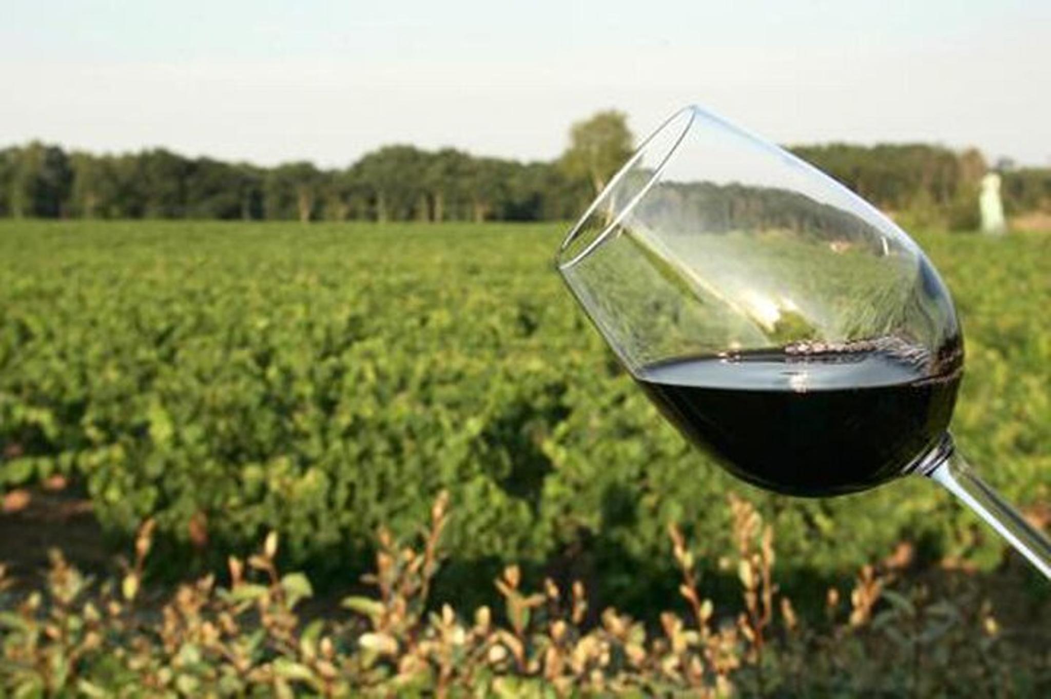 Lodi Wine Tasting Audio Tour - Image 6