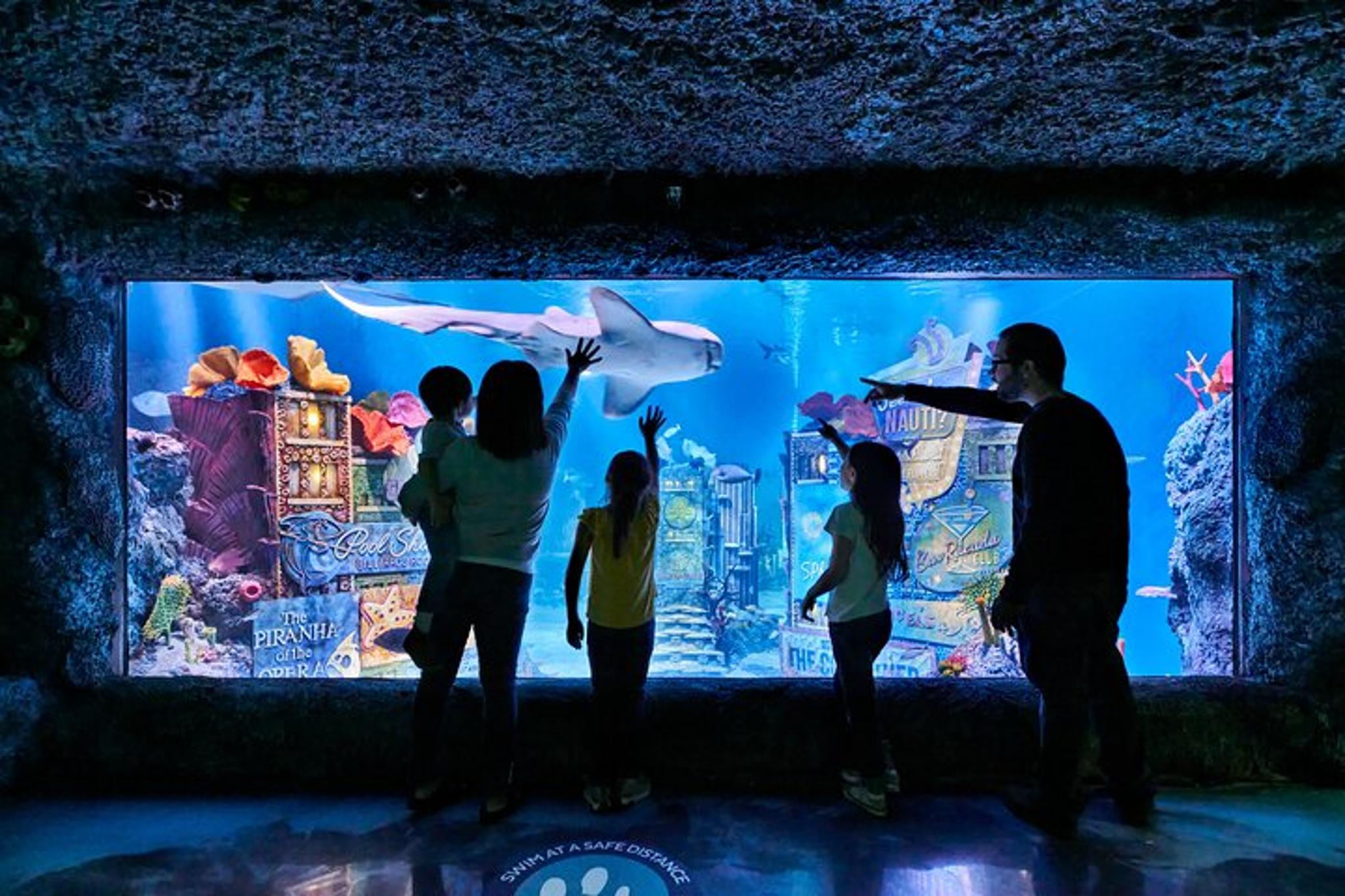 New Jersey SEA LIFE Aquarium Admission - Image 4