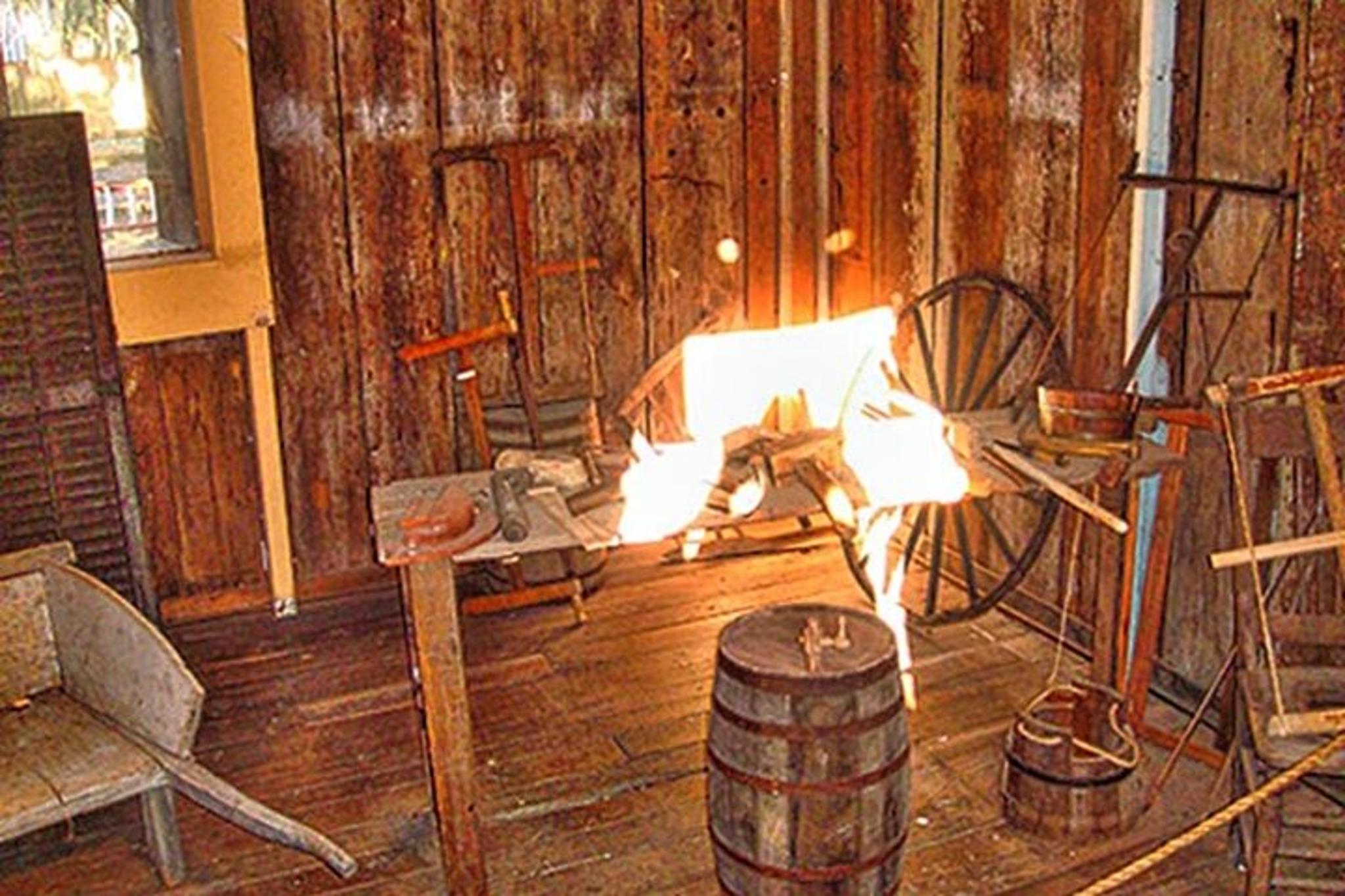 New Orleans Plantation and Airboat Tour - Image 5