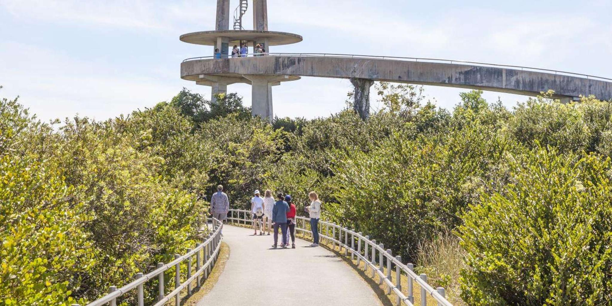 Miami Everglades Private Tour 4 hr - Image 6
