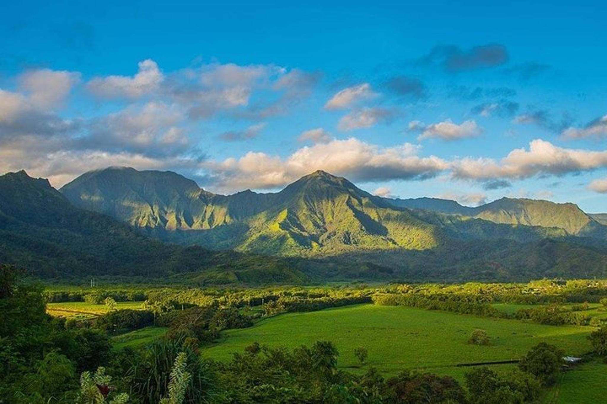 Kauai Highlights and Movie Sites Tour - Image 6