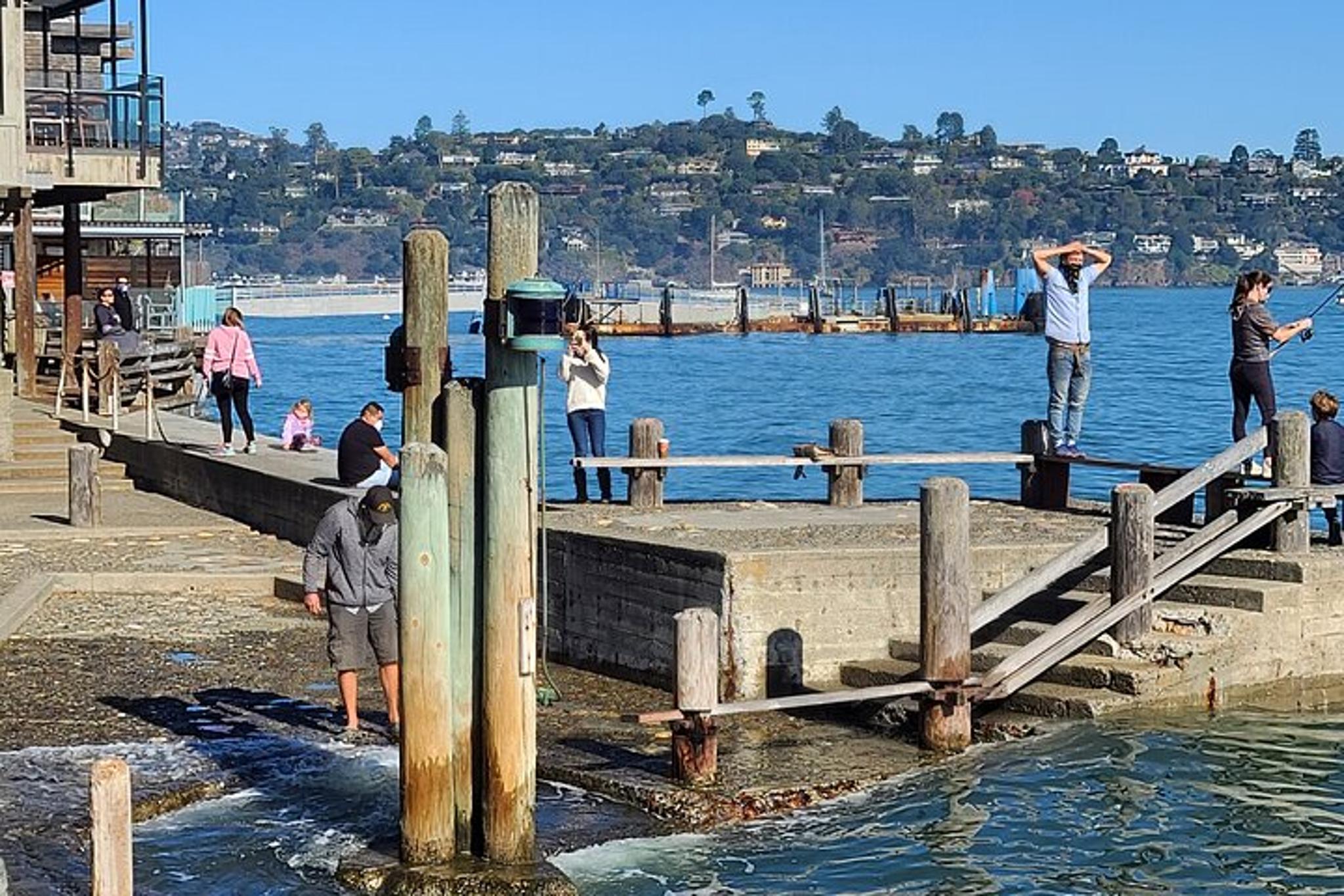 San Francisco Bay Cruise and Muir Woods Tour - Image 2