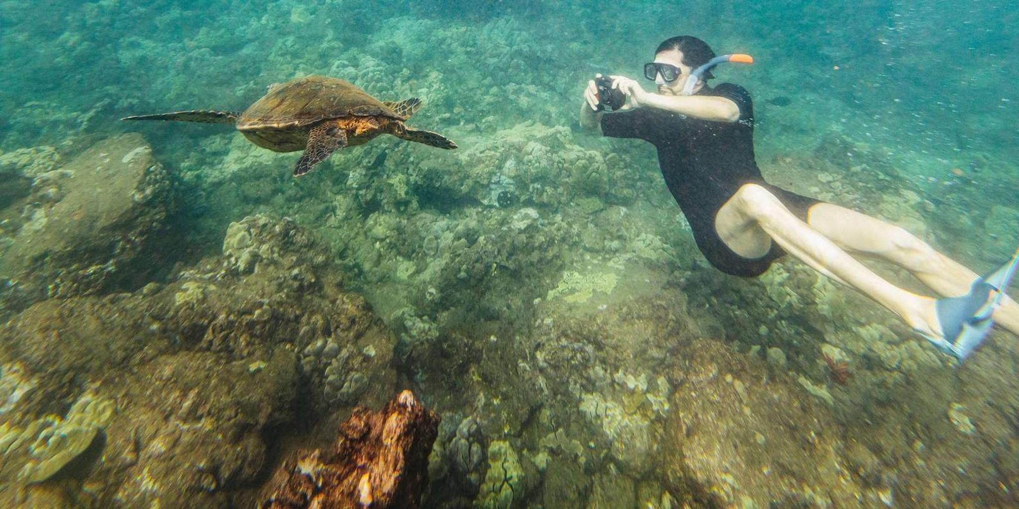 Maui Snorkeling Tour to Molokini and Turtle Town