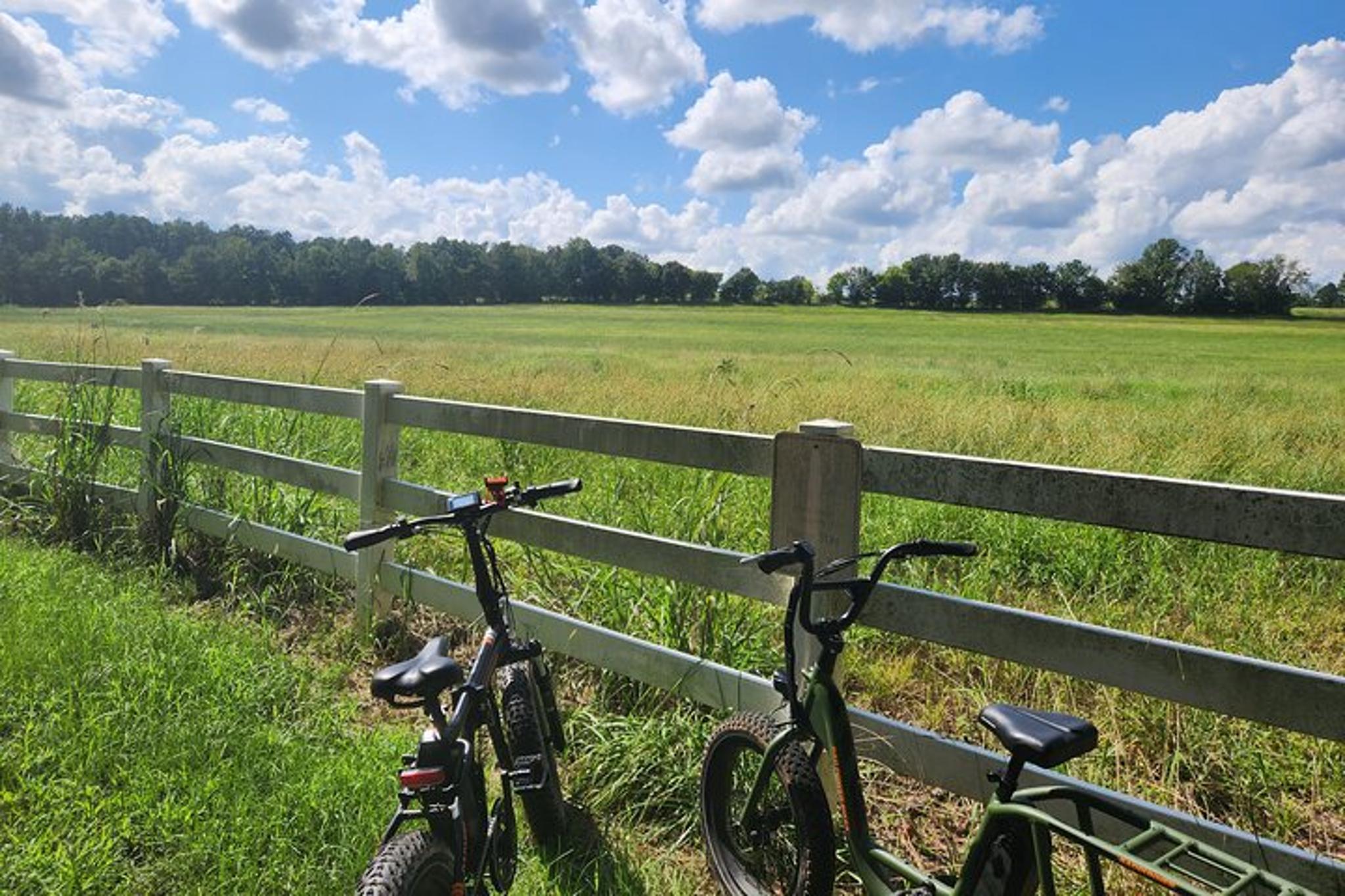 Clayton E-Bike Tour: Greenery, Scenery, and Mindfulness 2 hr - Image 5