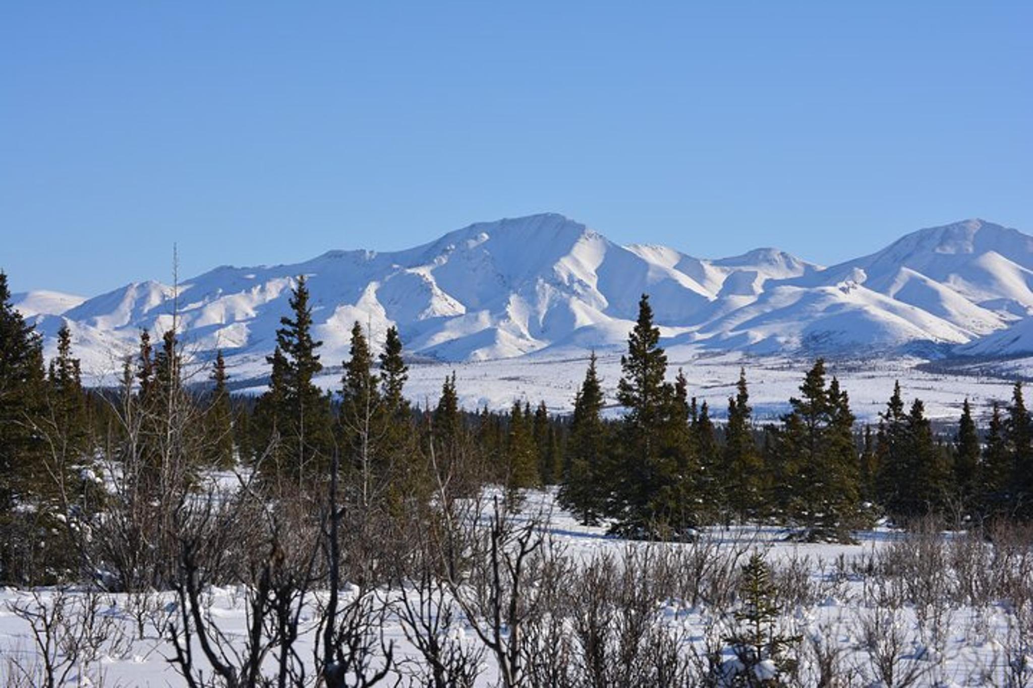 Fairbanks Denali Winter Drive 10 Hours - Image 5