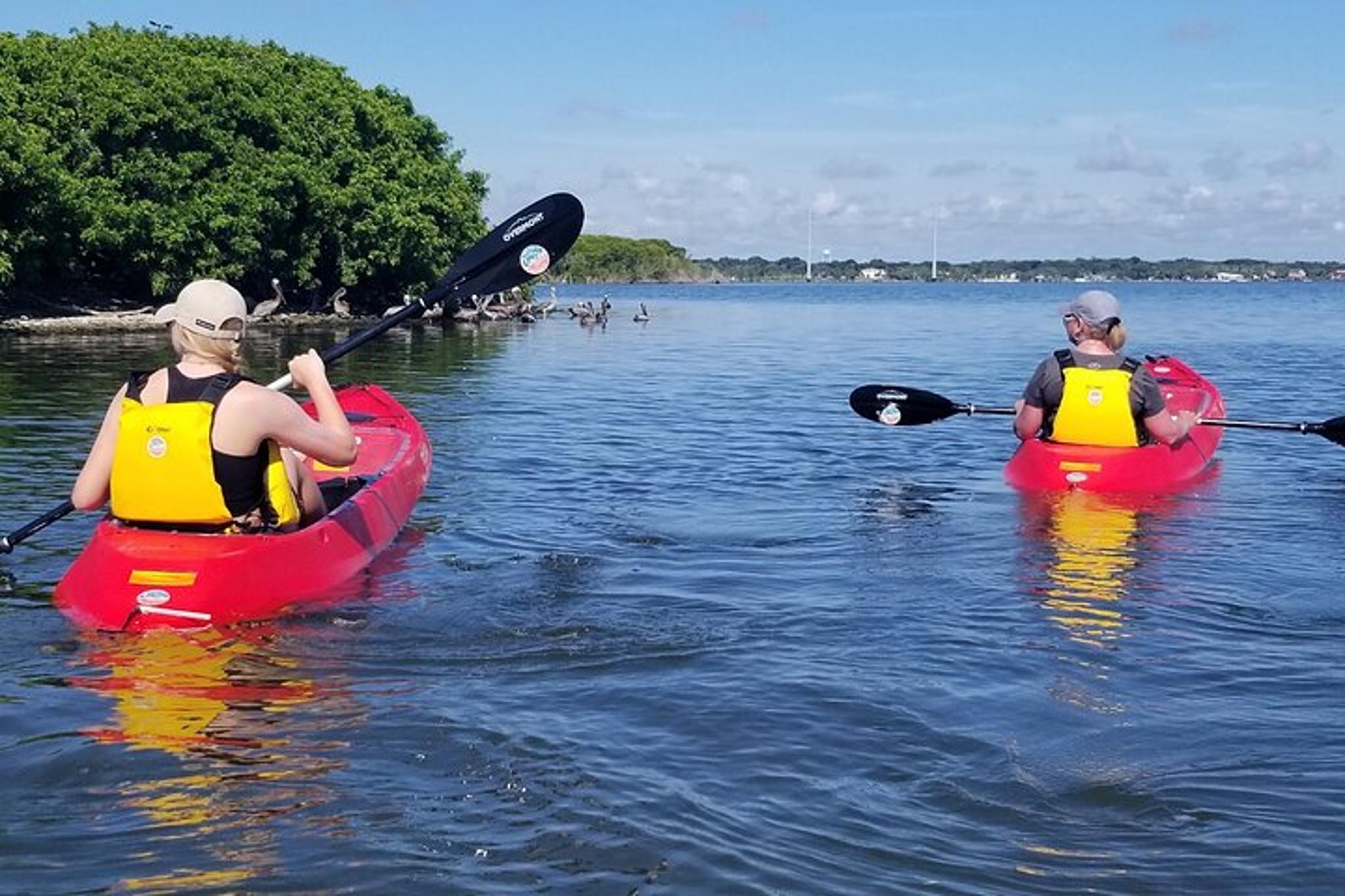 Indian River Clear Bottom Kayak and Paddleboarding Tour - Image 5