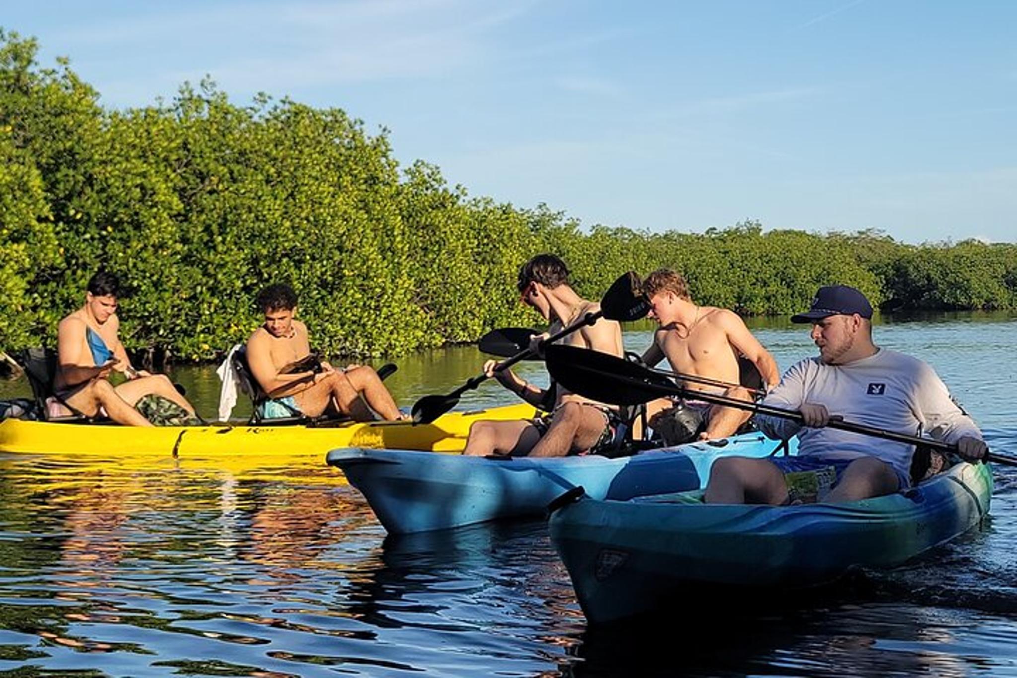 Florida Keys Mangrove Kayak Tour - Image 3