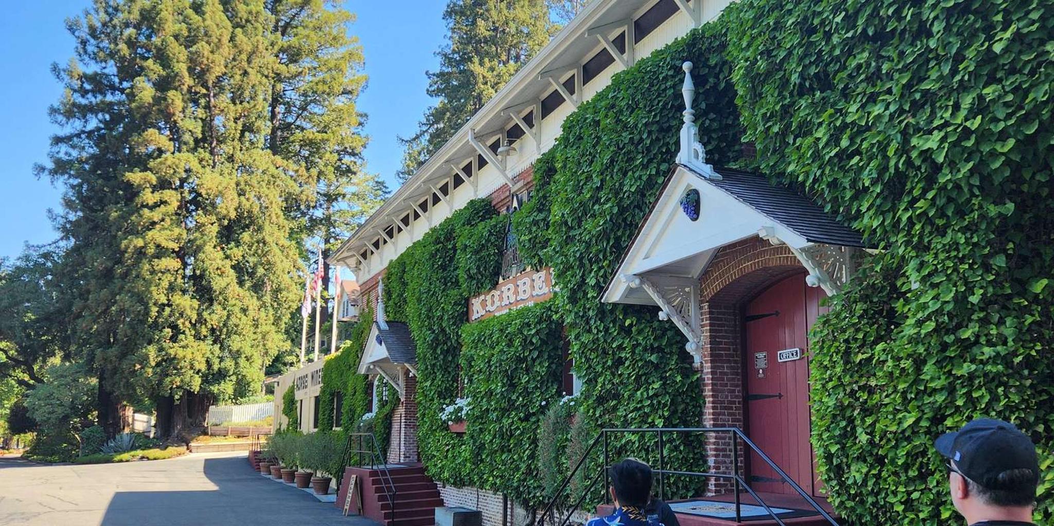 San Francisco Coastal Redwoods & Wine Tour - Image 3