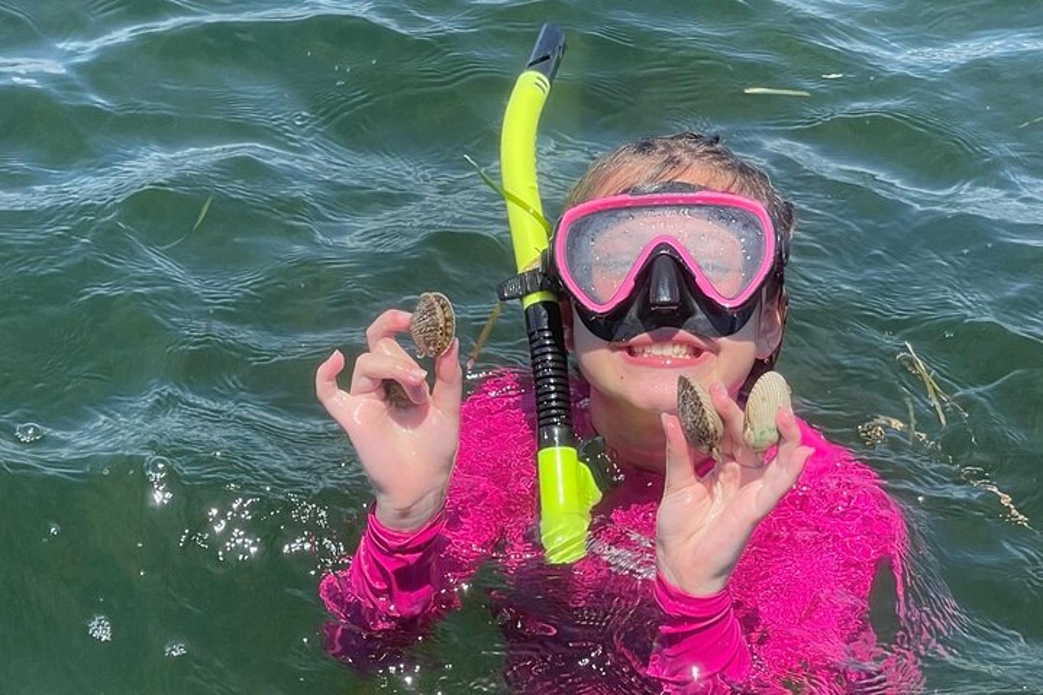 Crystal River Scallop Harvesting Snorkel Excursion - Image 6