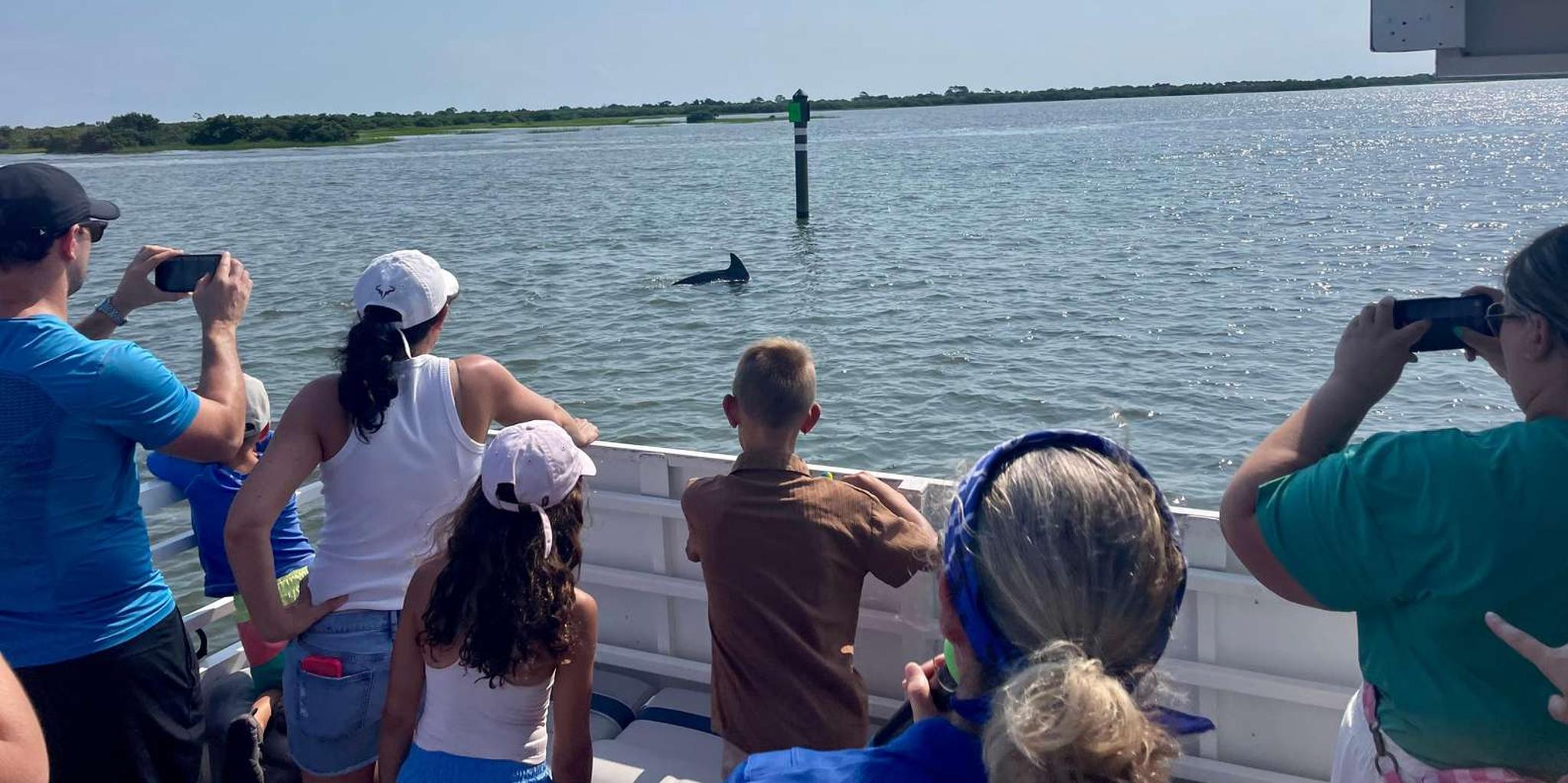 St. Augustine Dolphin and Wildlife Eco Adventure - Image 1