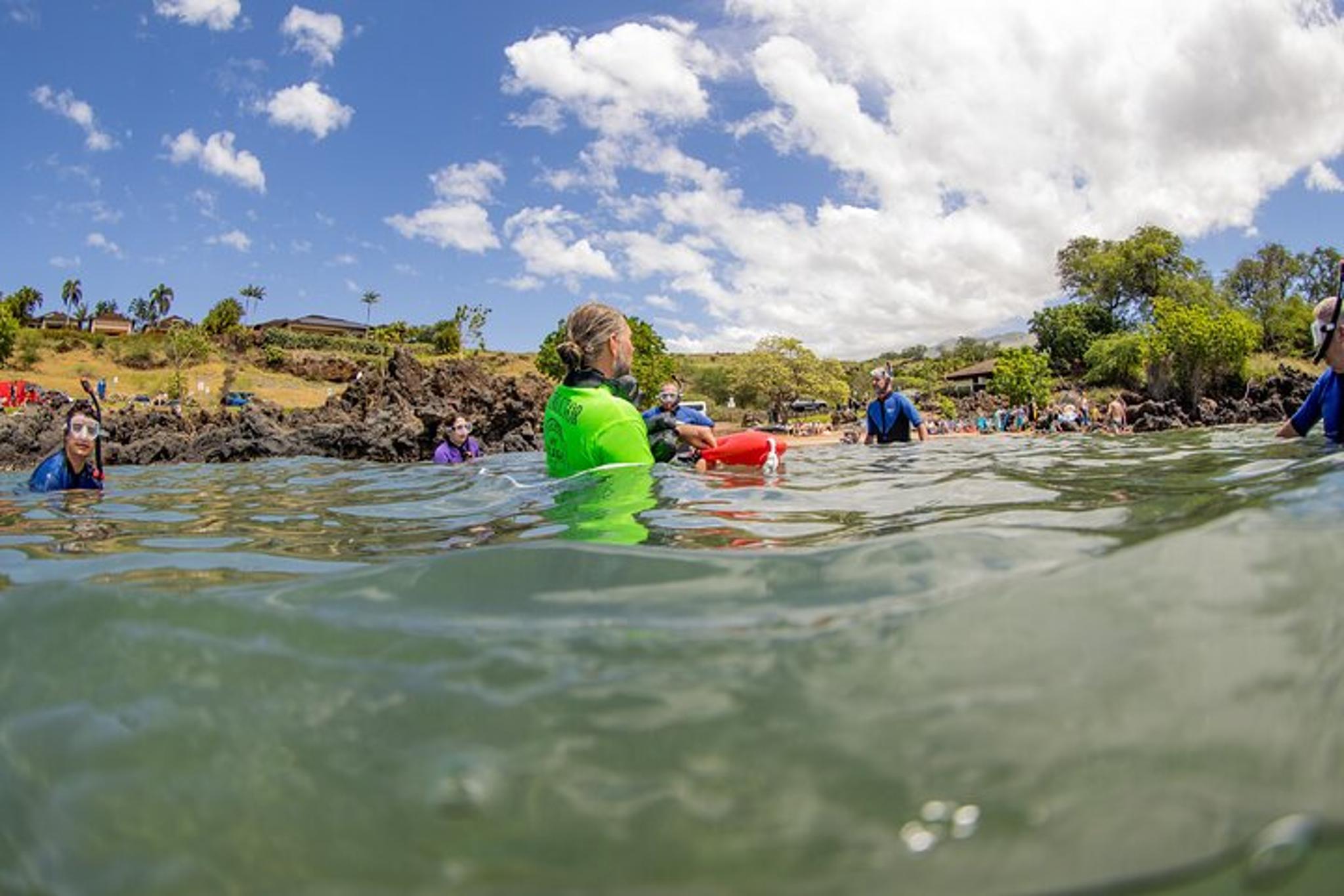 Maui Snorkeling Tour with Free Photo and Video 90 min - Image 4