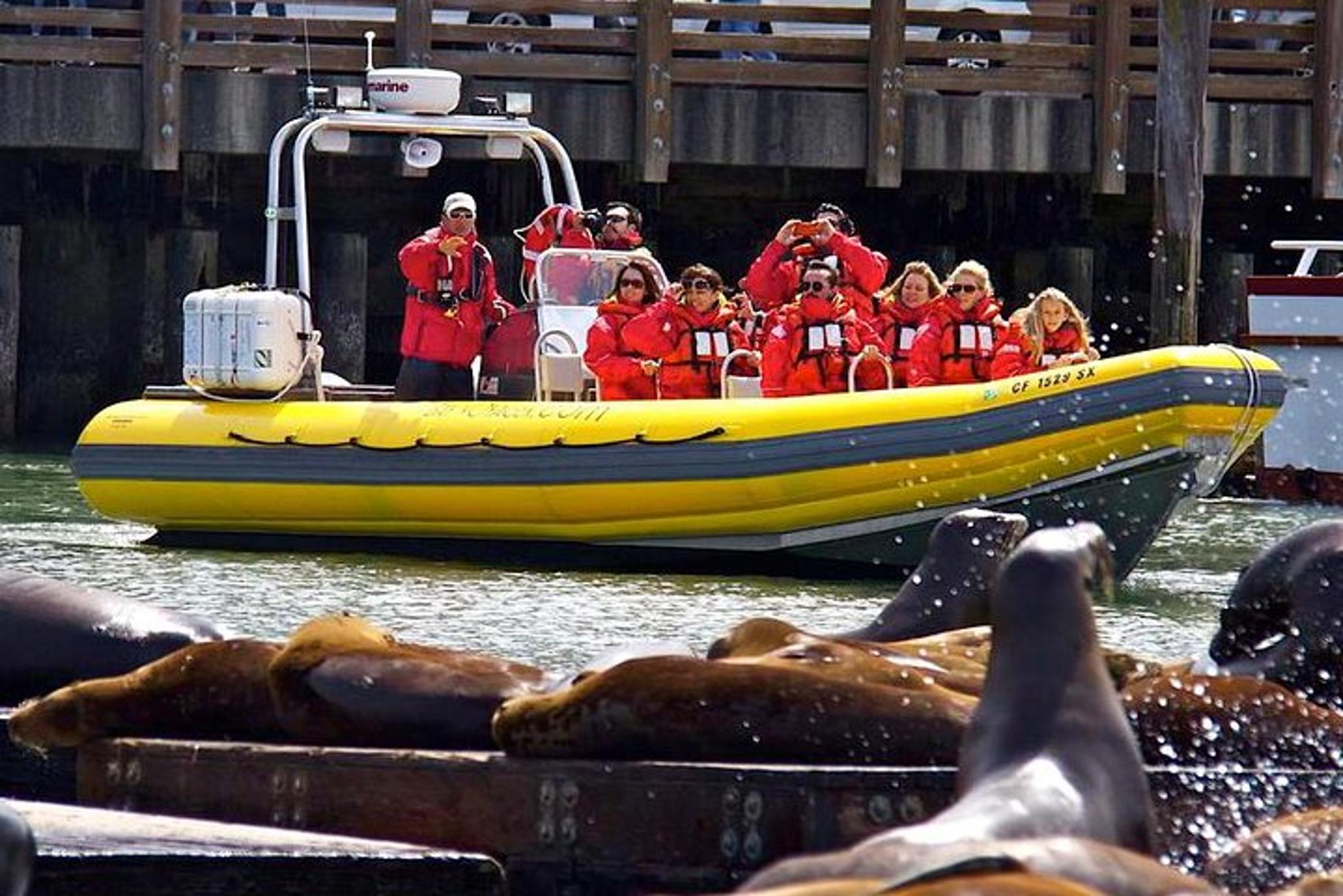 San Francisco Bay Sightseeing Cruise - Image 5