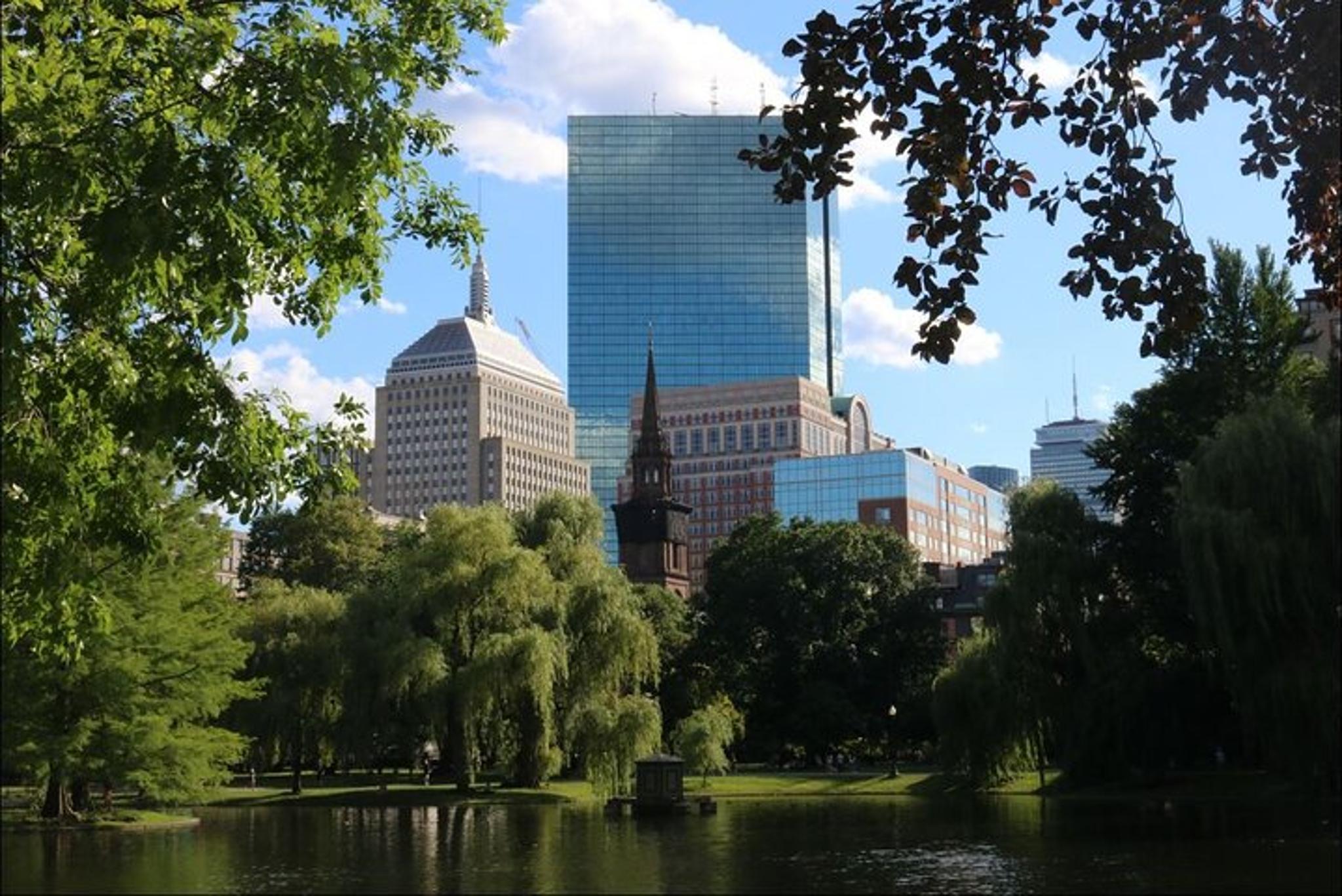 Boston Photography Tour in Common, Beacon Hill & Public Garden - Image 5
