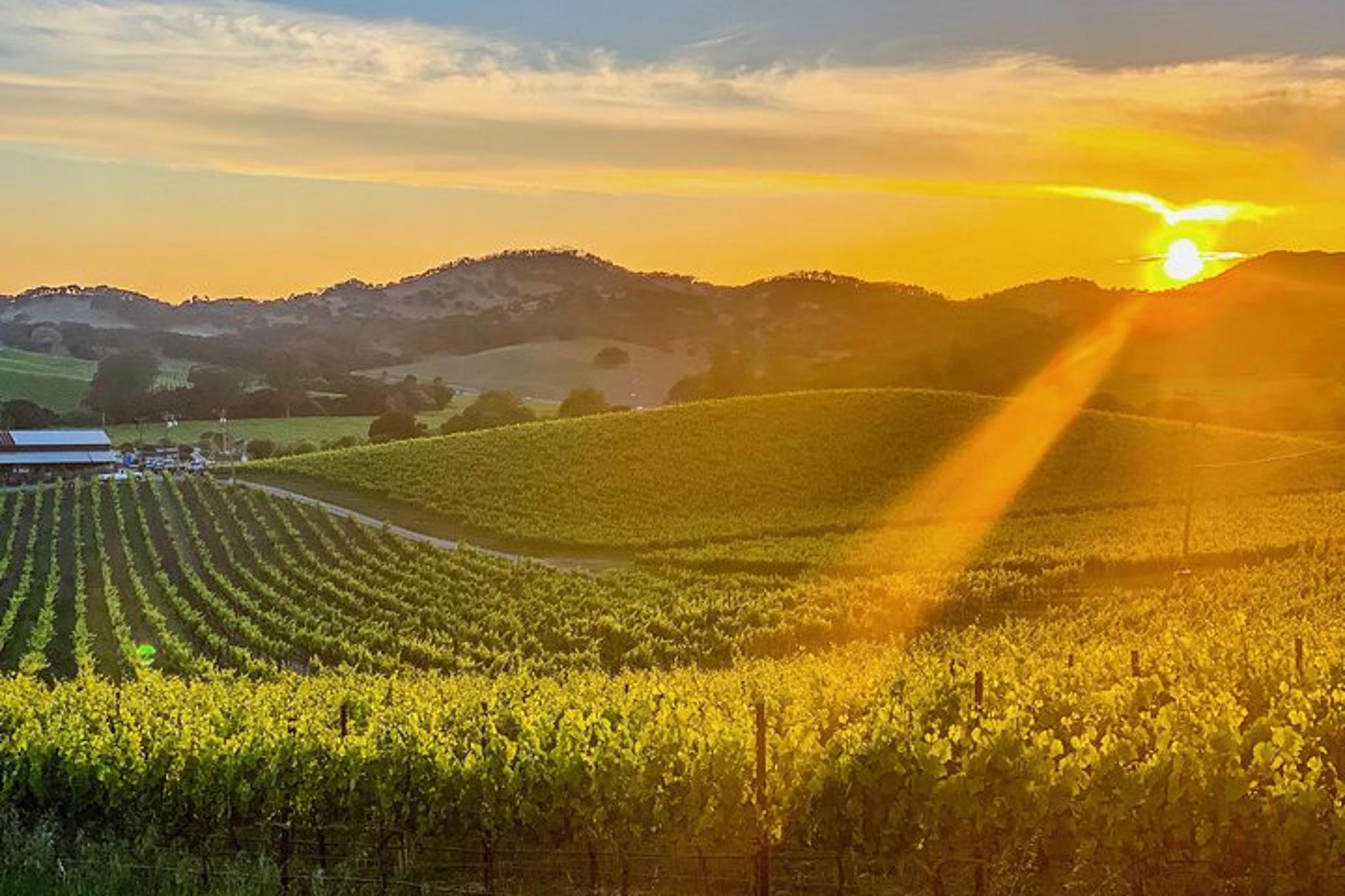 Wine Country Tour with Photography Services