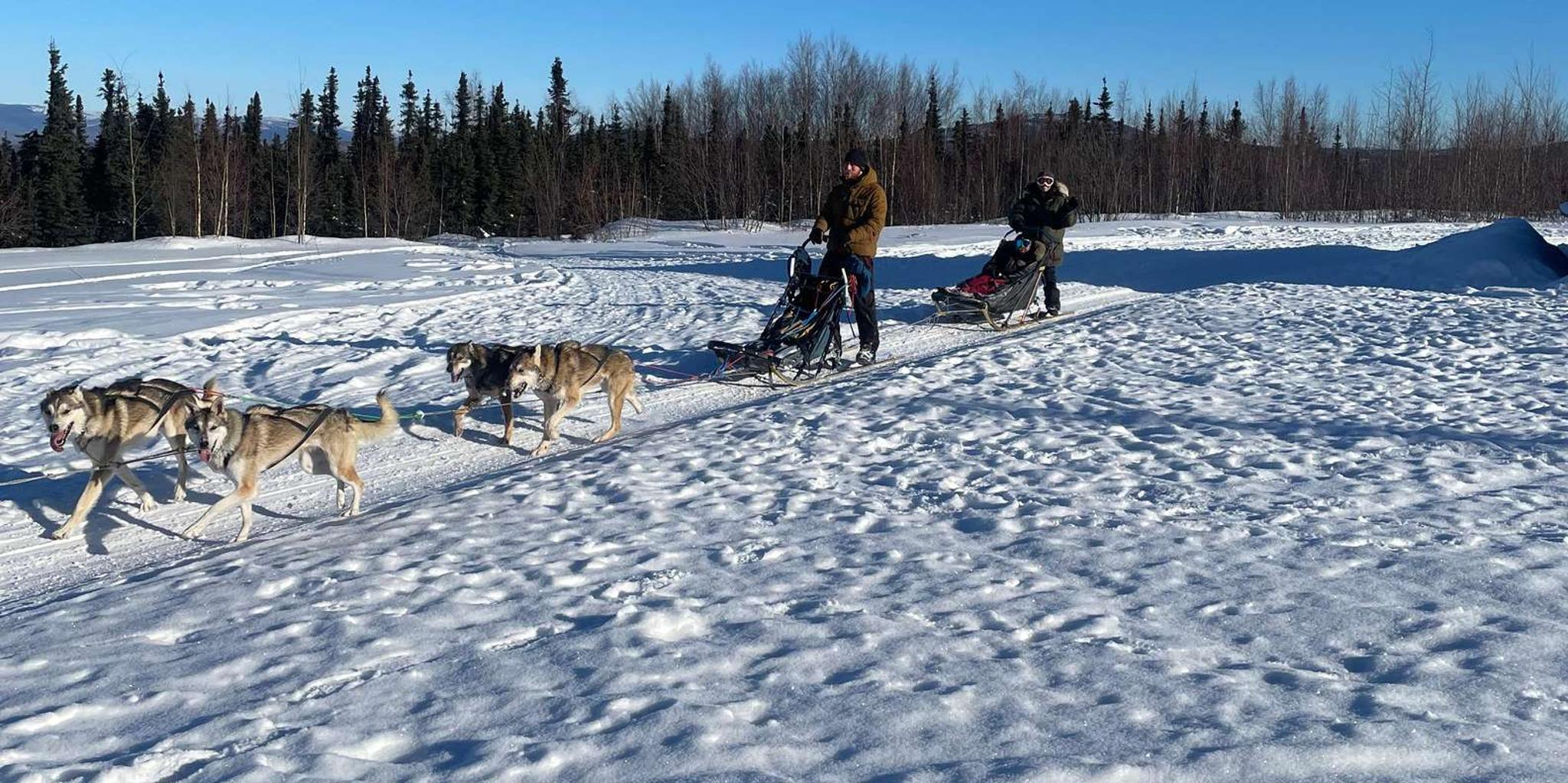 Fairbanks Dog Mushing School 2 hr - Image 3