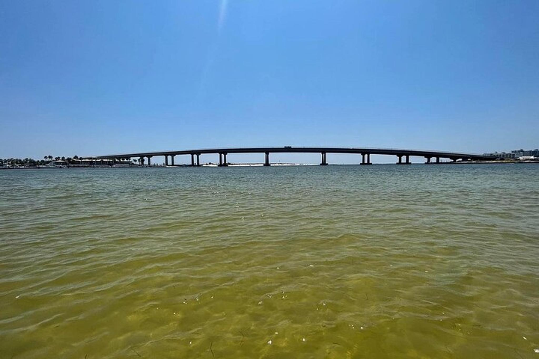 Orange Beach Pontoon Boat Rental - Image 2