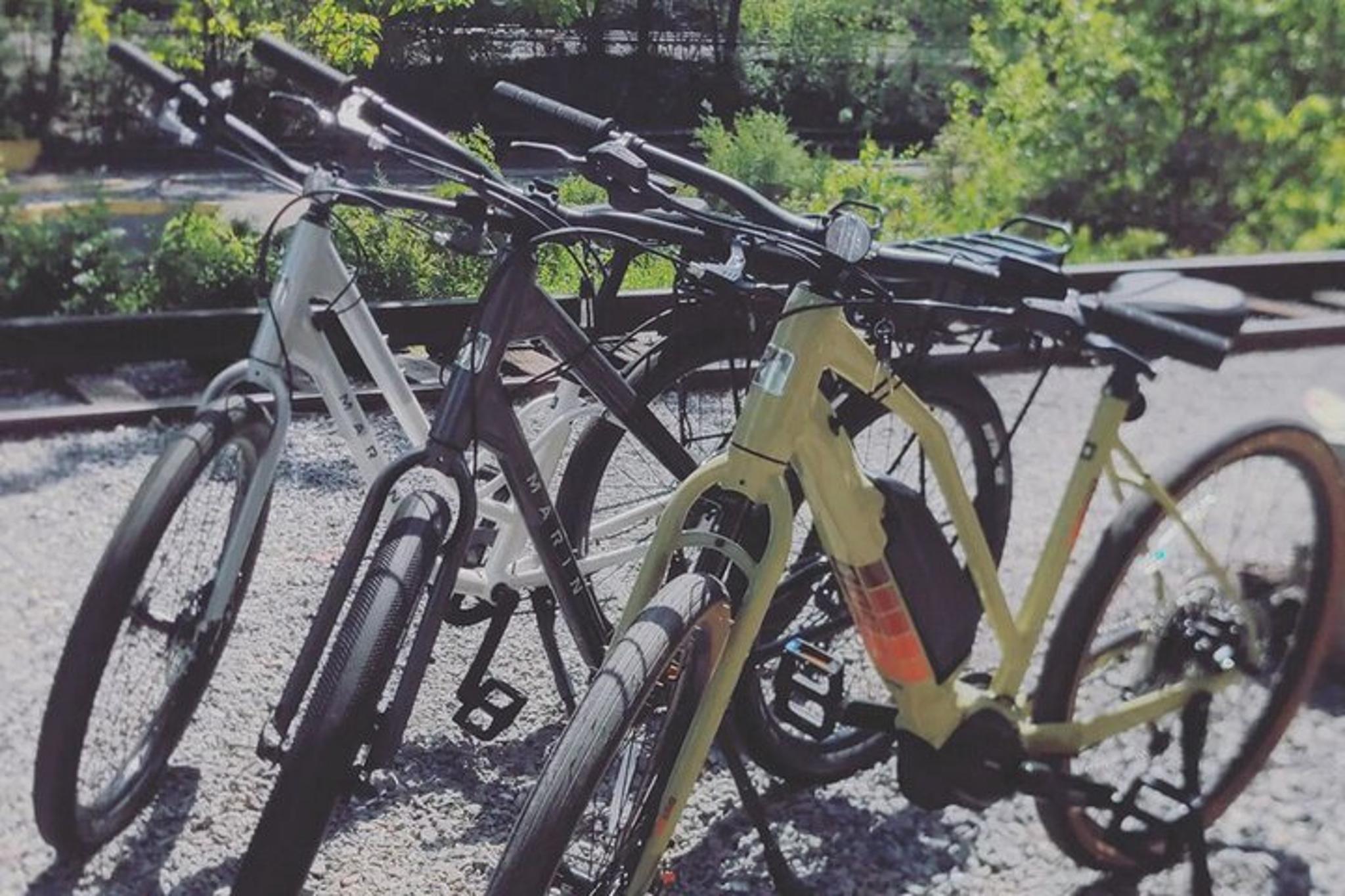 Roanoke E-bike Tour on the River Greenway 2 hr - Image 2