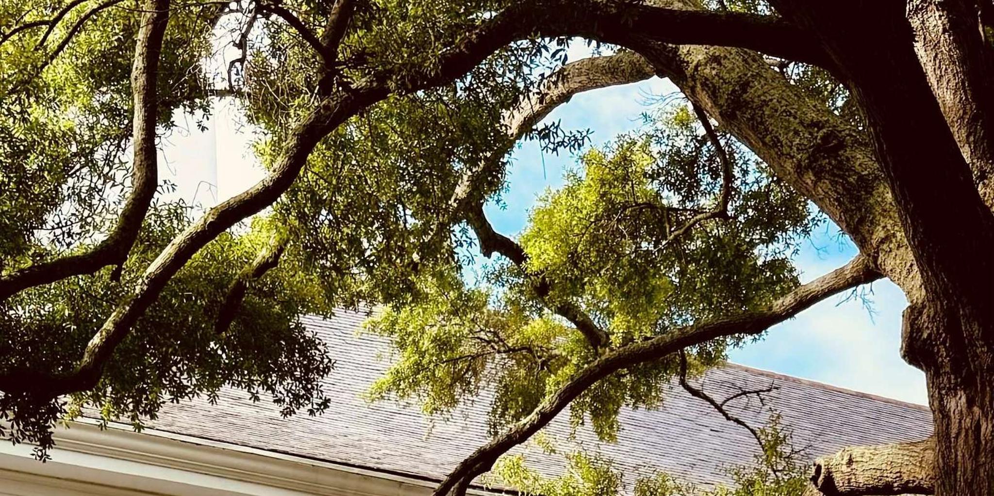 Charleston Women and Wine Tour - Image 6