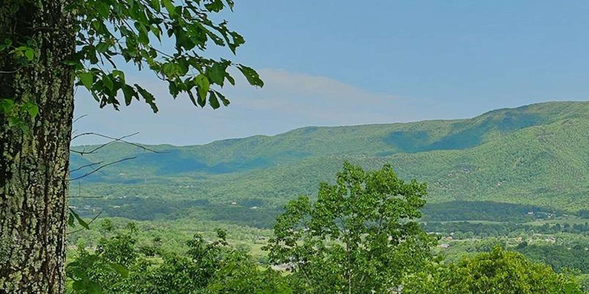 Pigeon Forge Smoky Mountains Tour - Image 6