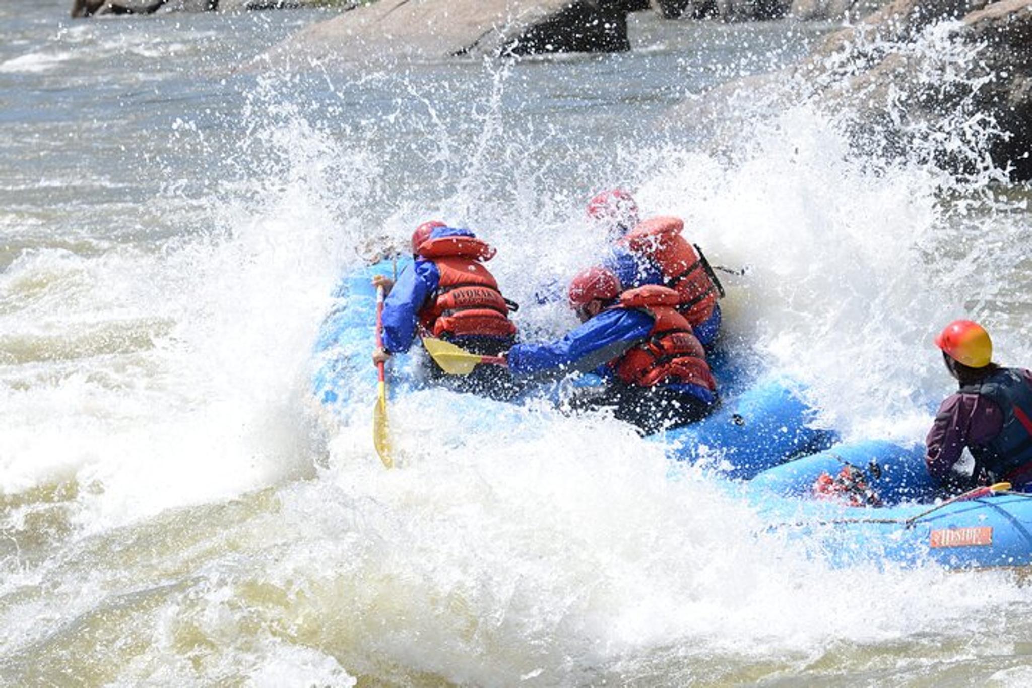 Arkansas River Bighorn Sheep Canyon Rafting - Image 4