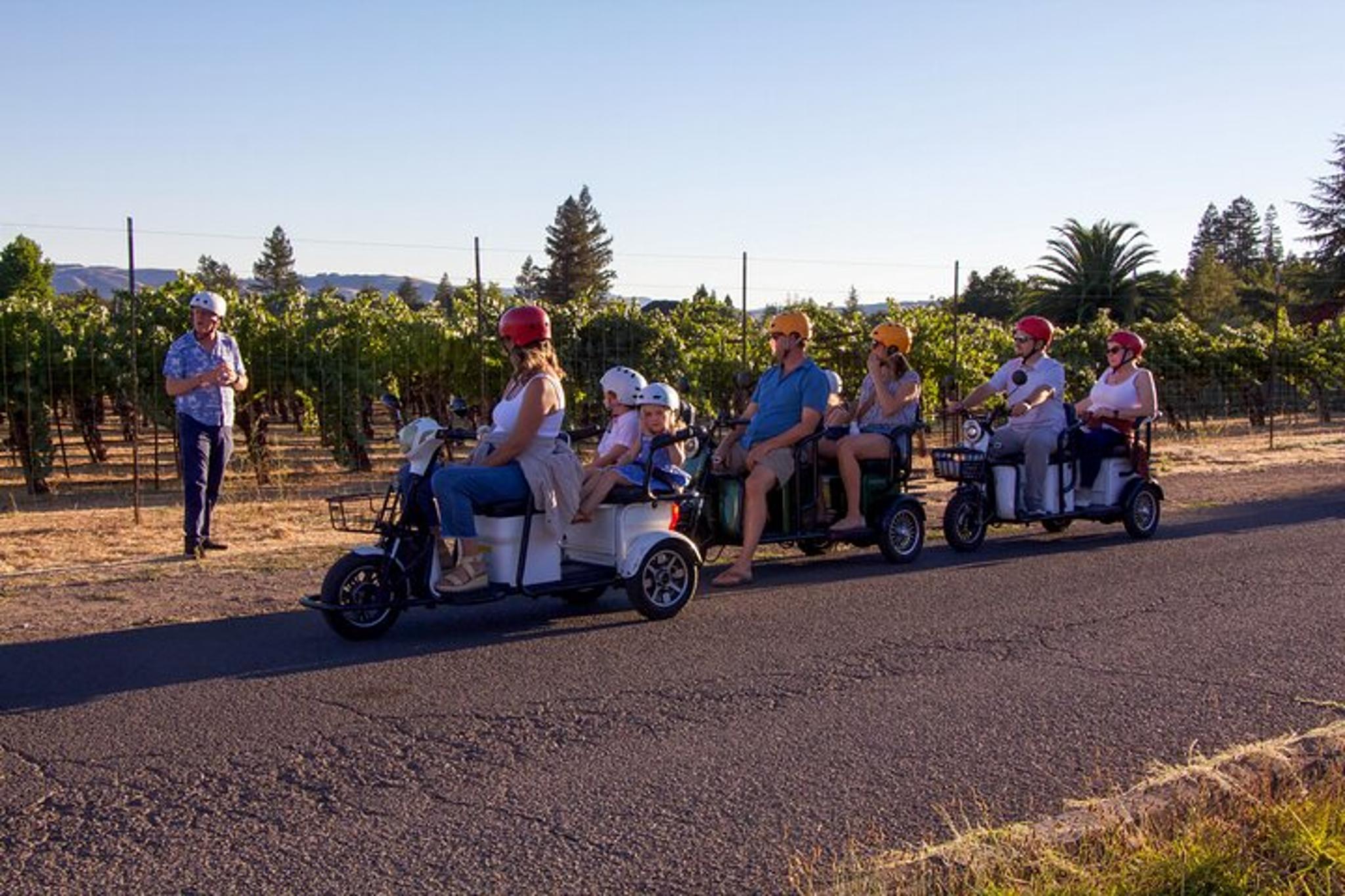 Sonoma Wine Country Electric Trike Tour 3 hr - Image 5