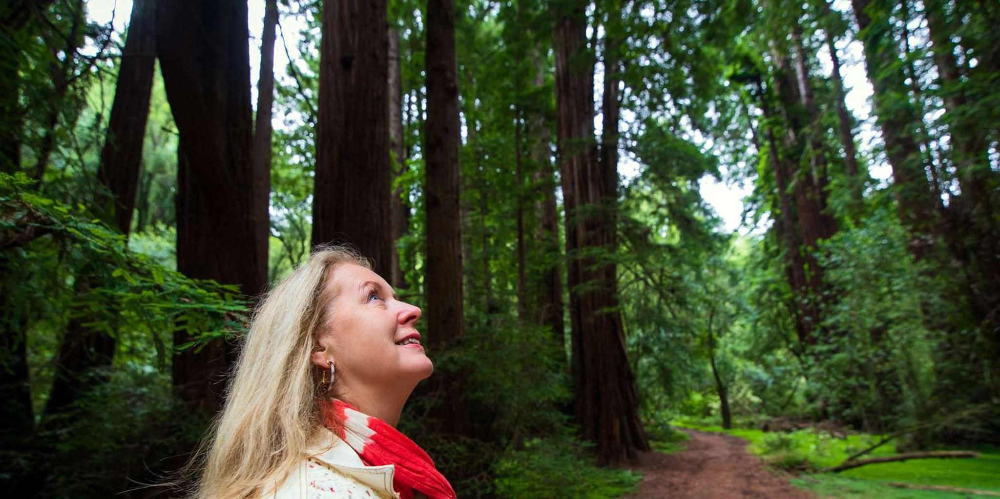 San Francisco Muir Woods and Sausalito Tour - Image 3