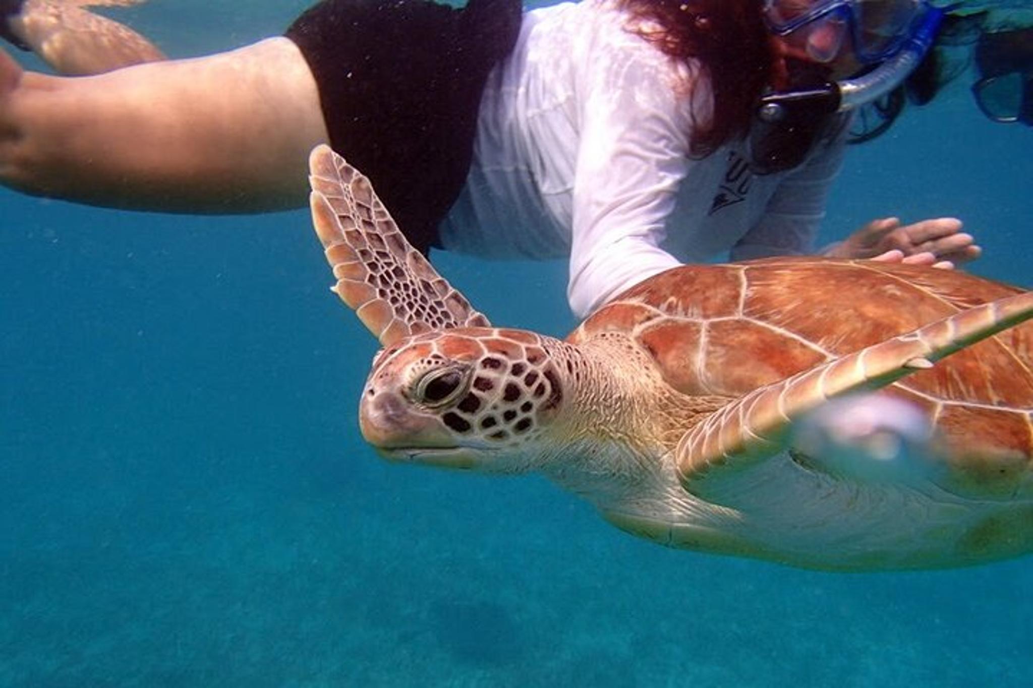 Islamorada Eco Tour: Snorkel, Kayak, and Lunch - Image 2
