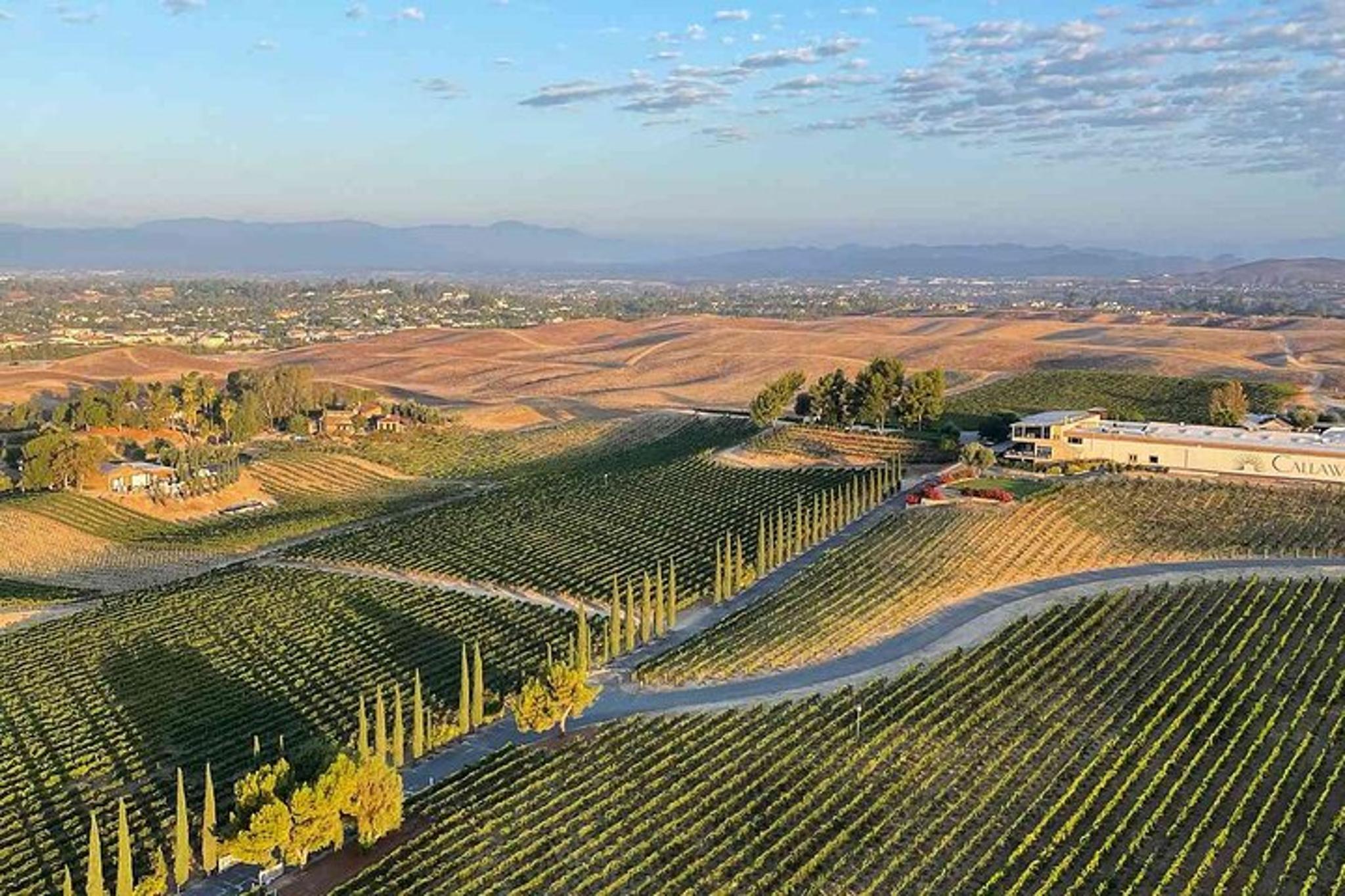 Temecula to San Diego Airport Transfer - Image 6