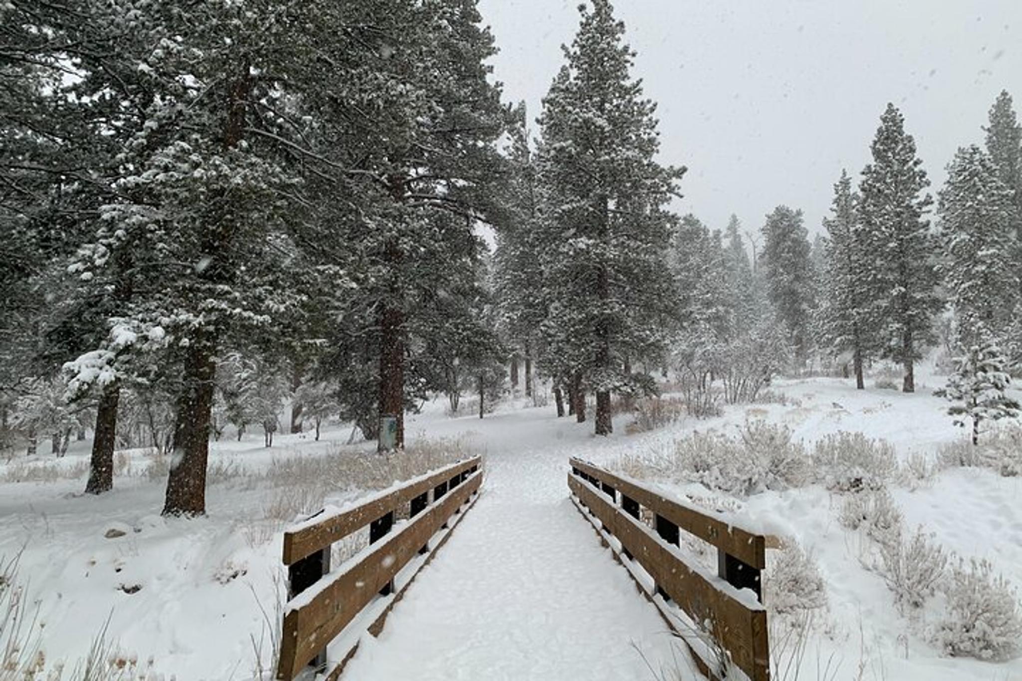 Las Vegas Mount Charleston Tour - Image 1