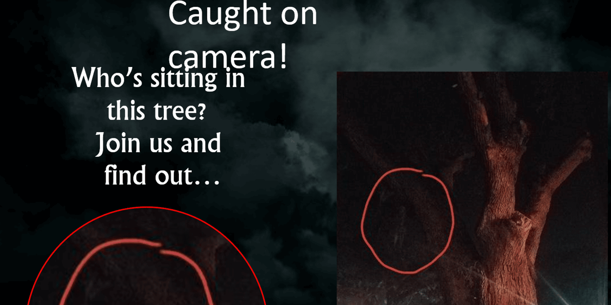 Saint Augustine Paranormal Investigation Tour - Image 6