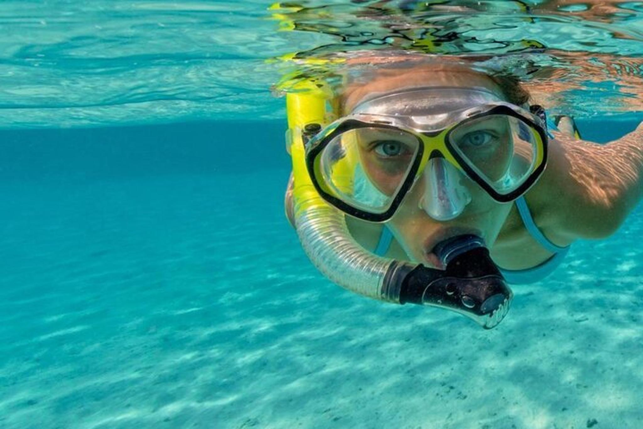 Fort Lauderdale Snorkel Tour Jean Cousteau's Reef 90 Min - Image 3