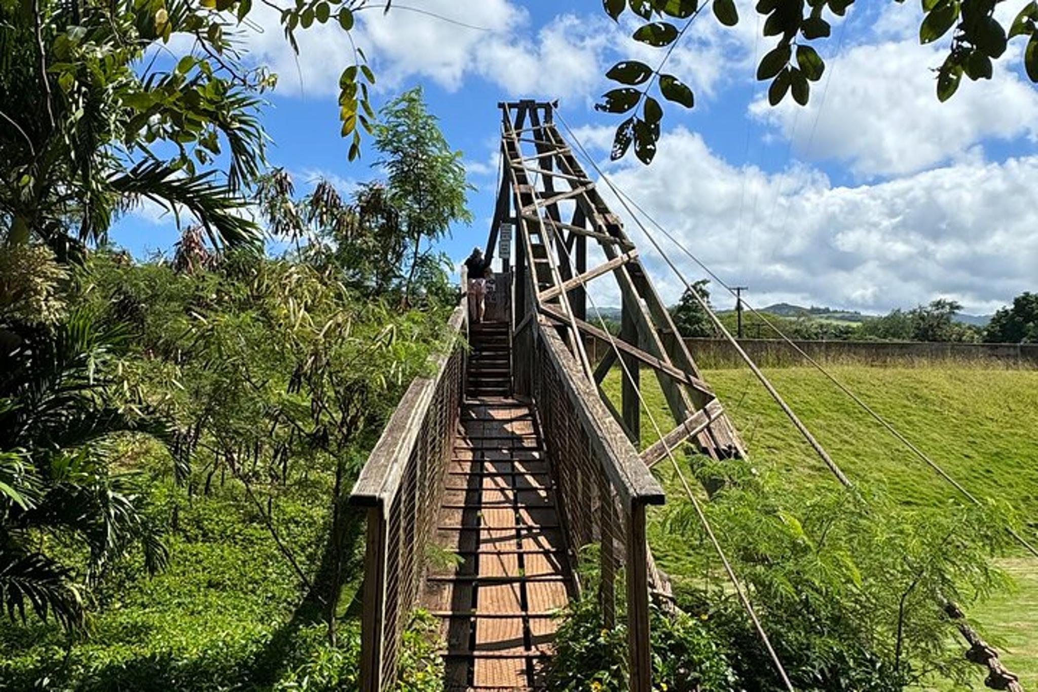 Kauai Island Tour: Waimea Canyon and Kalalau Lookout - Image 3