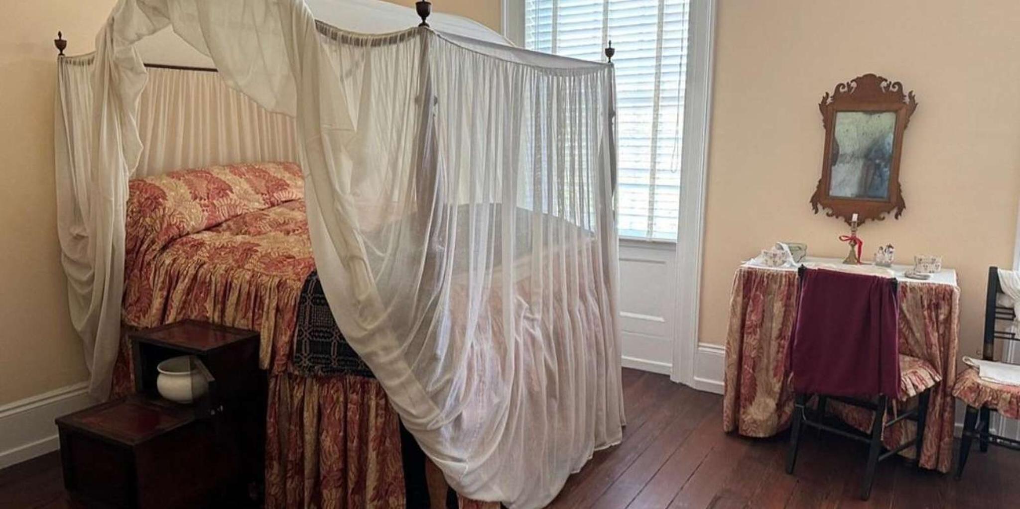 Savannah Davenport House Museum Guided Tour - Image 4