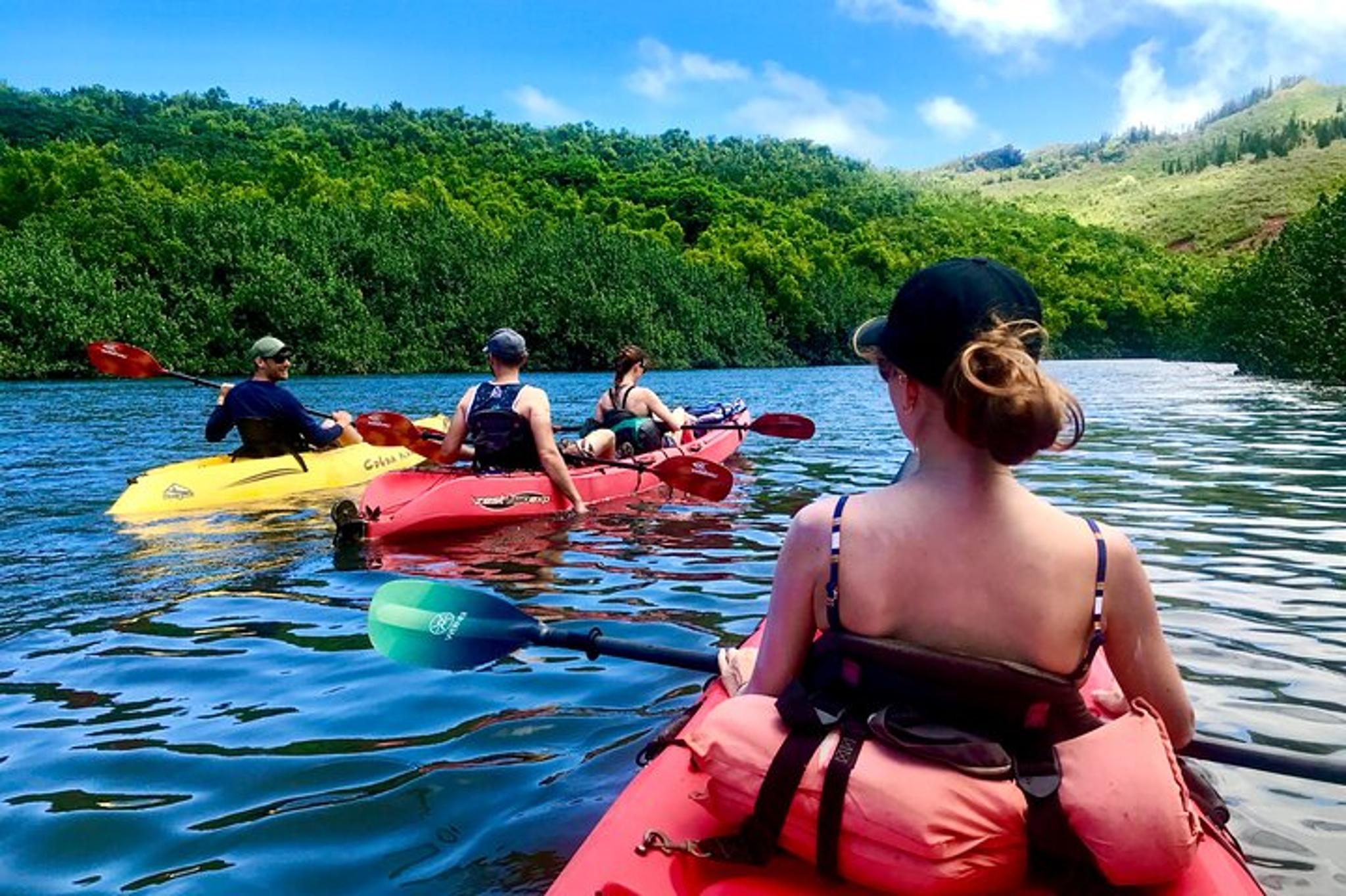 Kauai Kayak and Hike to Secret Falls - Image 2