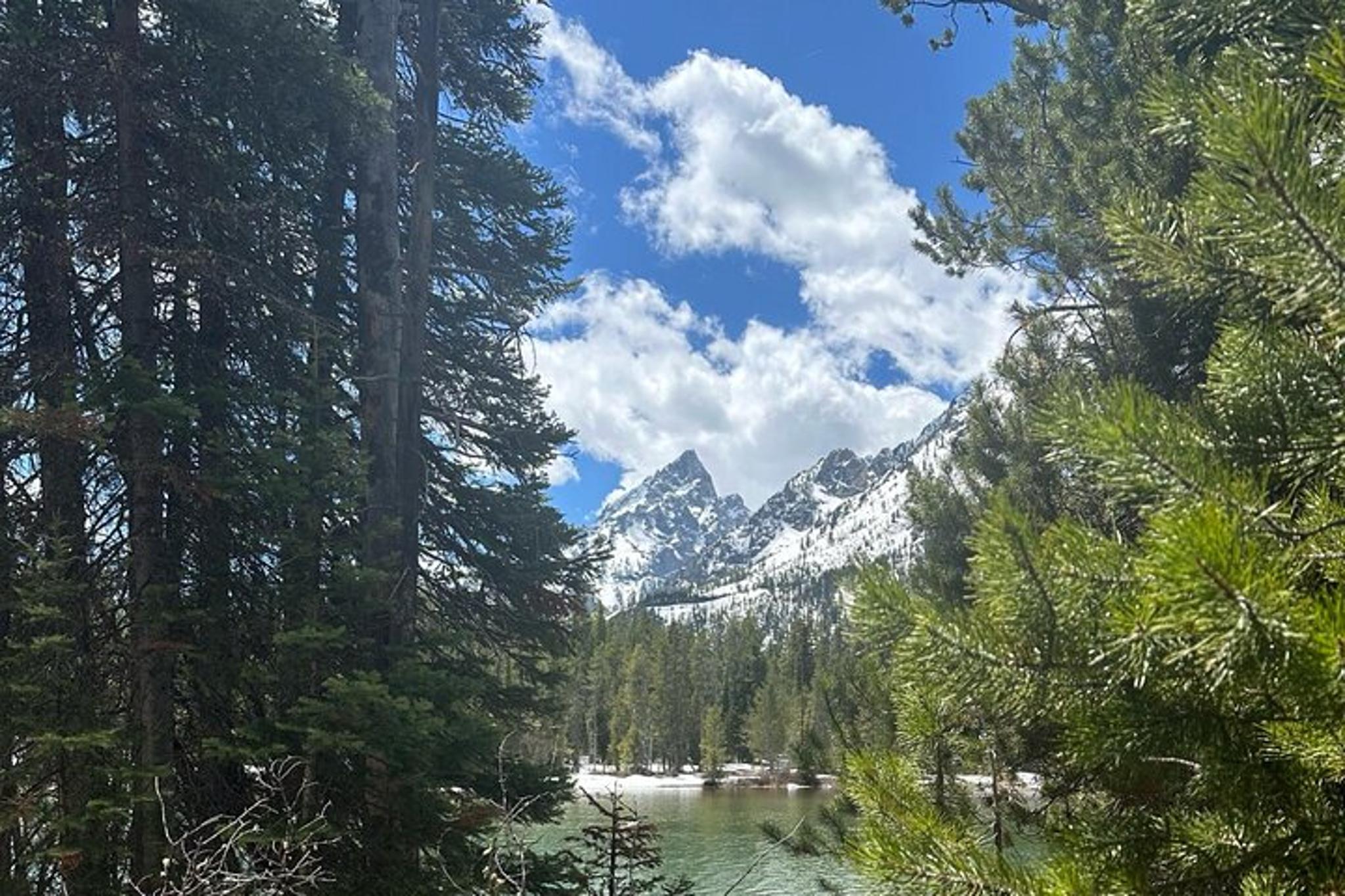 Grand Teton National Park Private Tour - Image 3