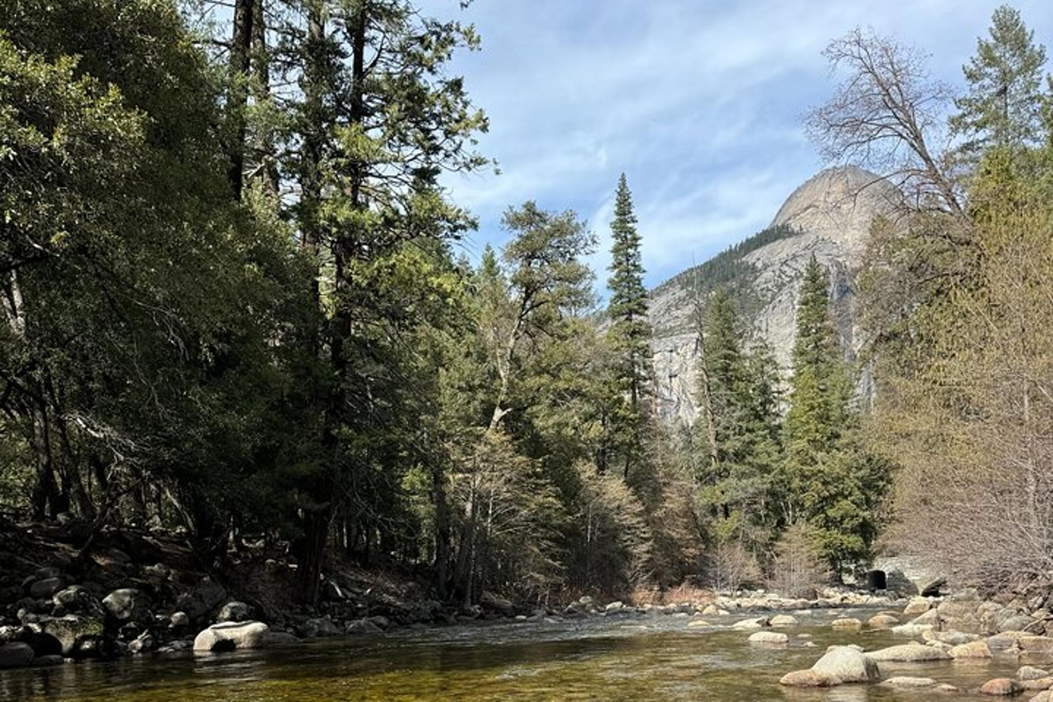 Yosemite National Park Private Tour 2 Days - Image 4