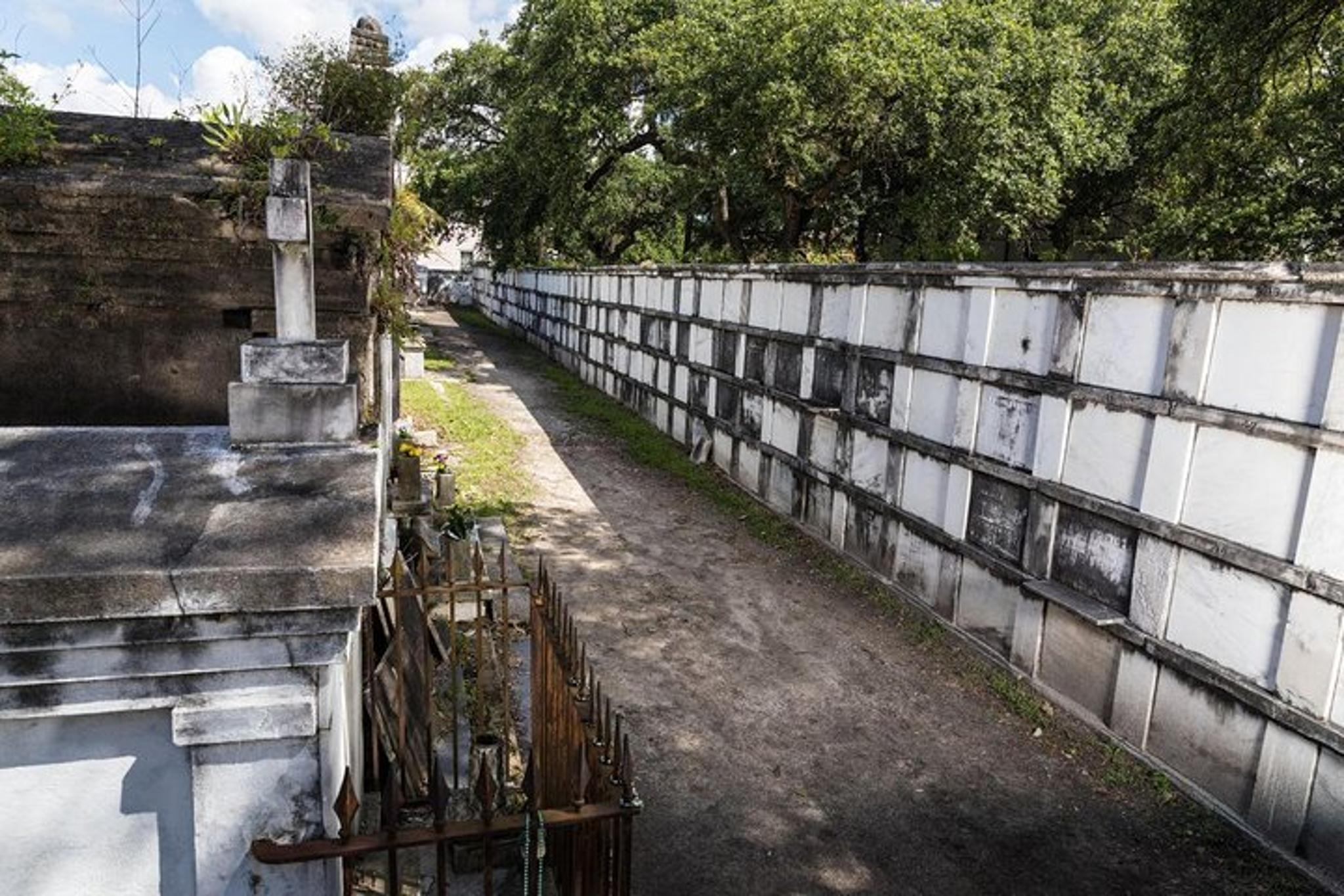 New Orleans Private Driving & Walking Tour - Image 5
