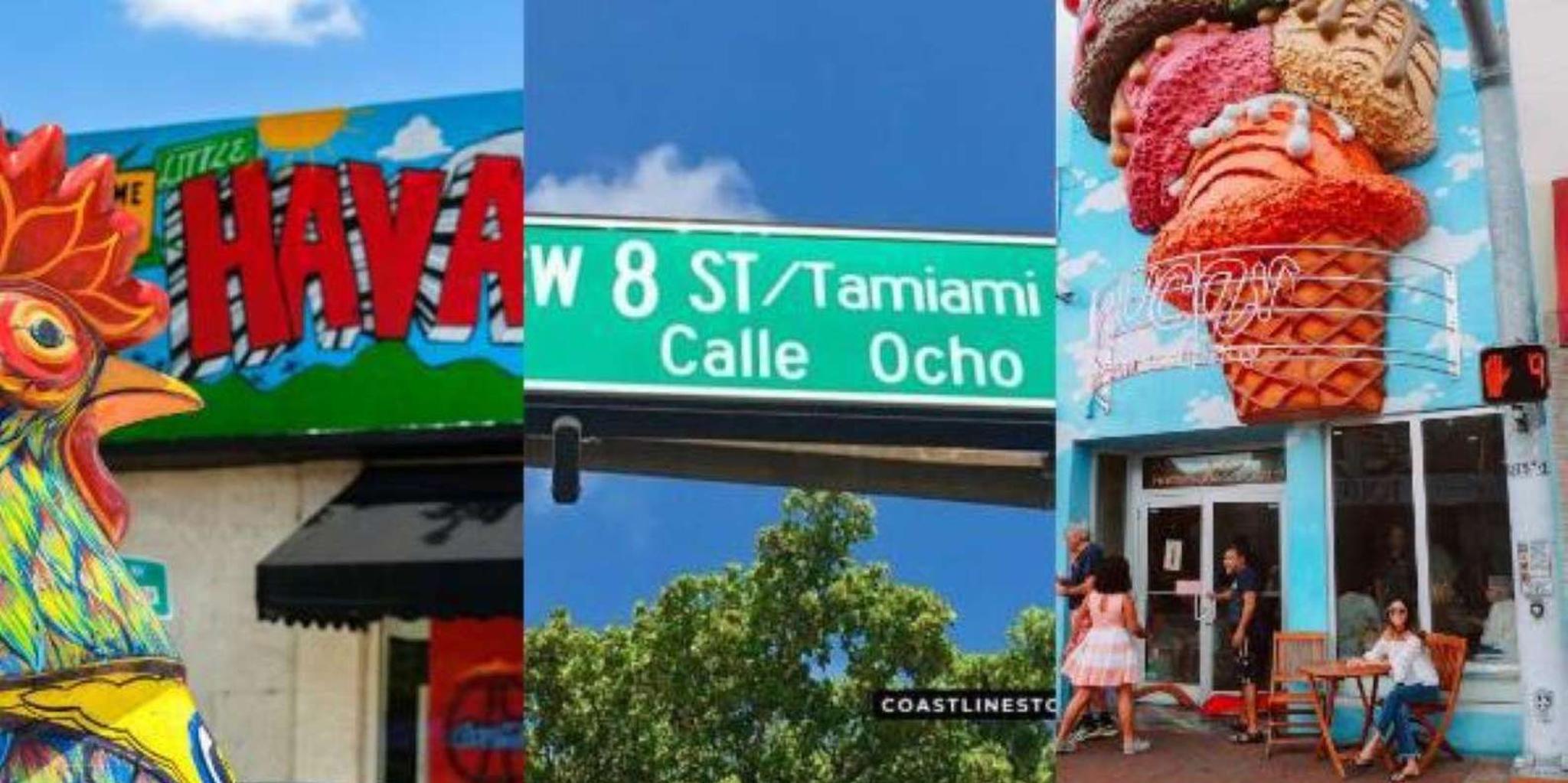 Miami City Tour and Speedboat Adventure - Image 2
