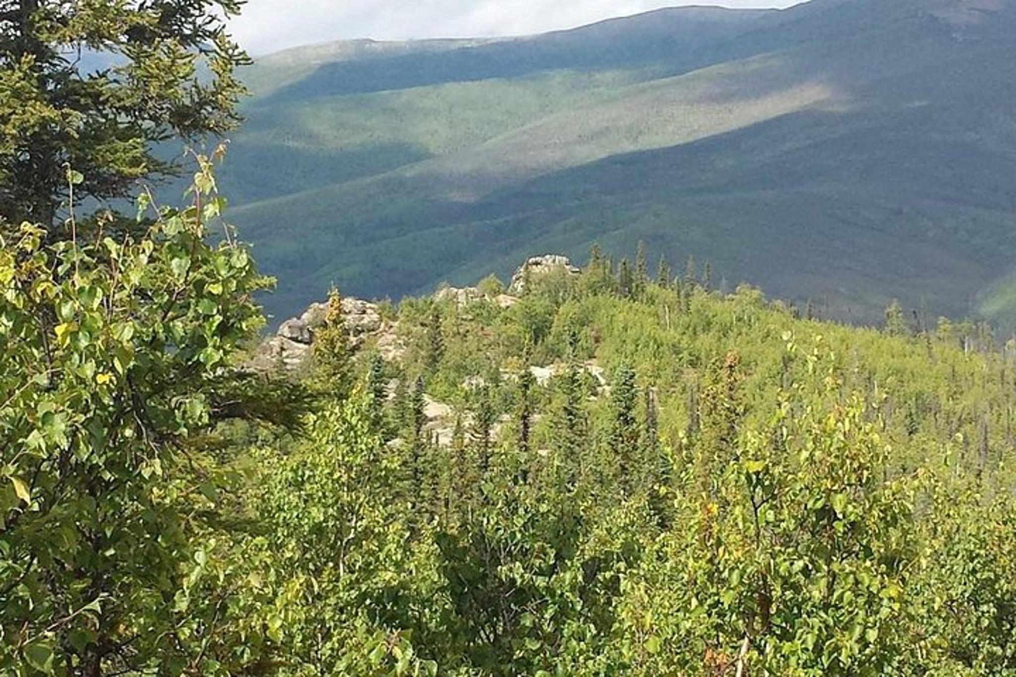 White Mountains Hiking Adventure - Image 6