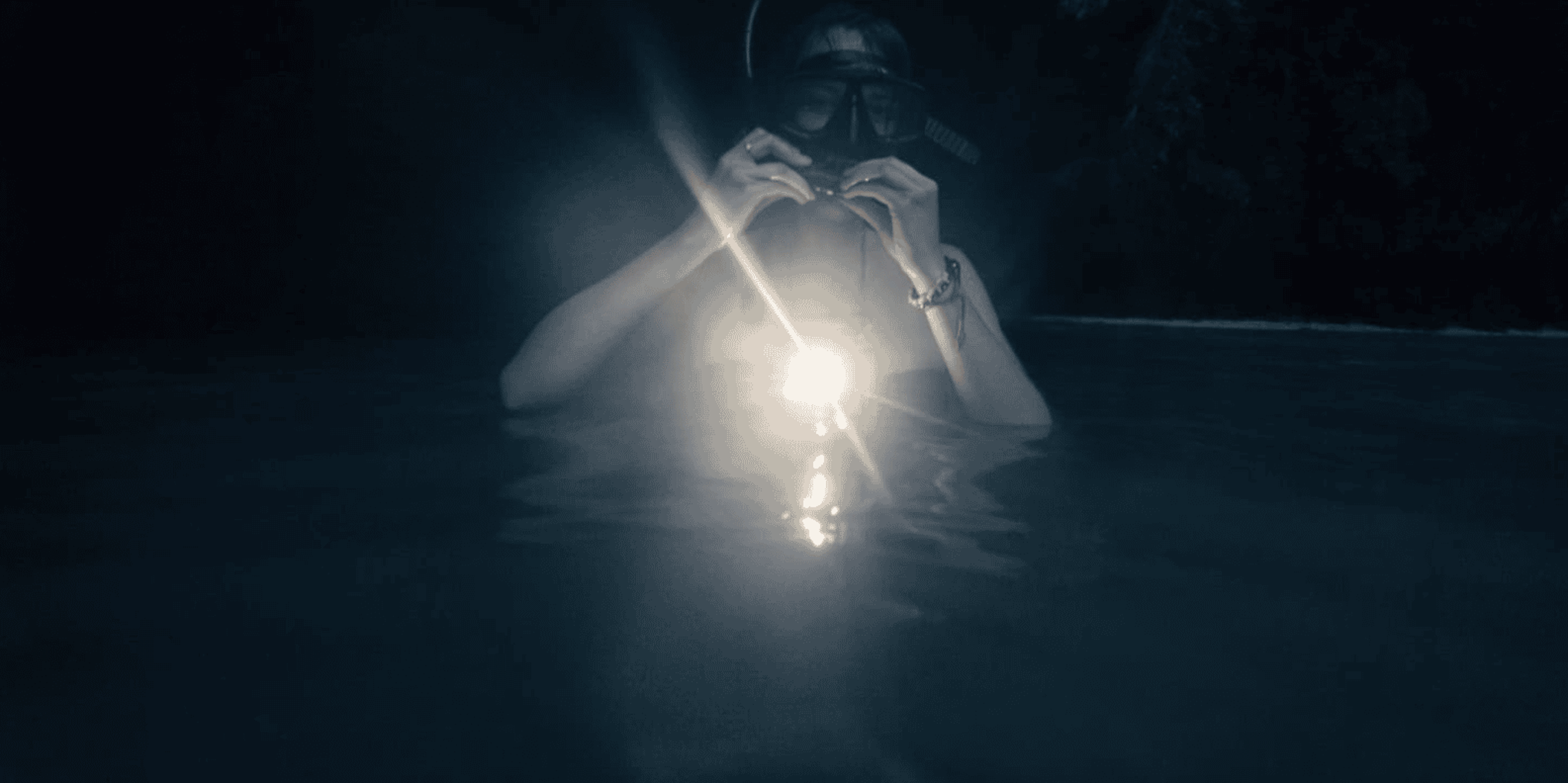 Maui Night Snorkel at Turtle Town