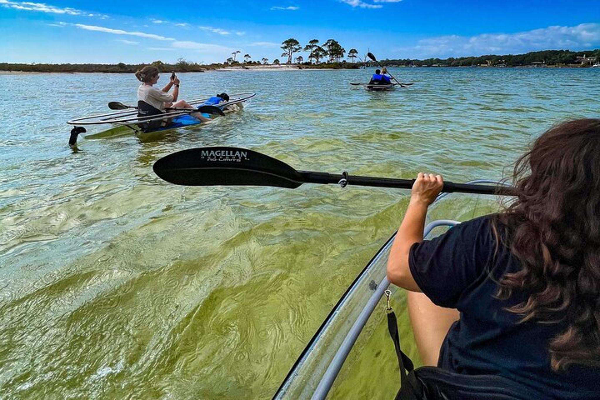 Destin Clear Kayak Ecotour - Image 4