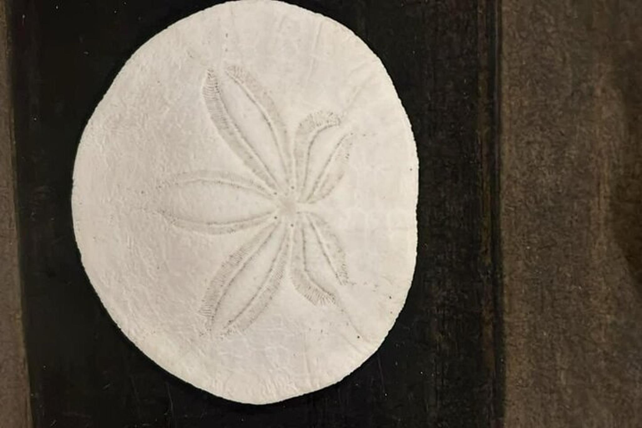 Astoria Guided Tour - Image 4