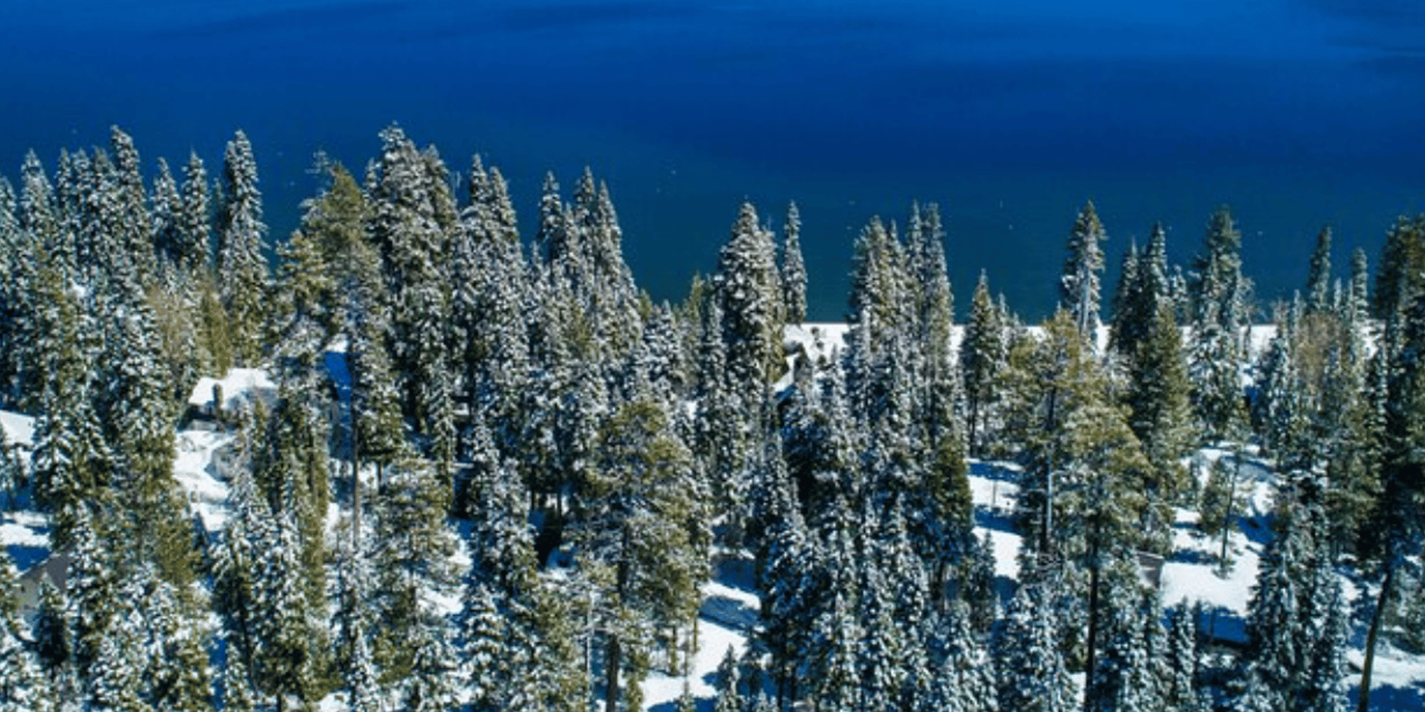 Cupertino Lake Tahoe Small Group Tour - Image 4