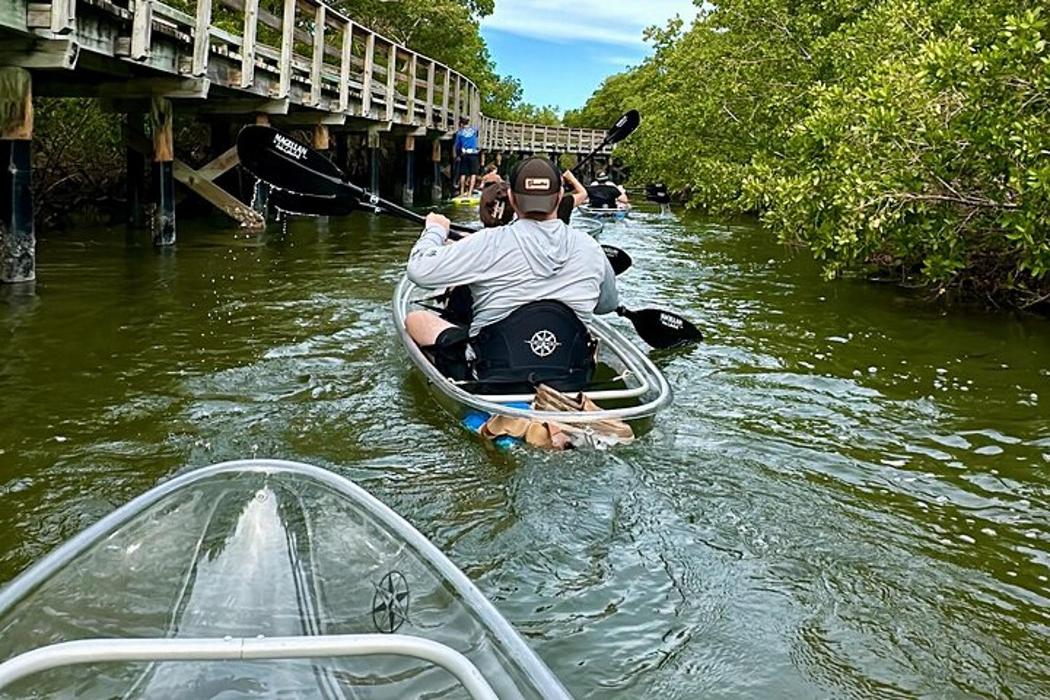 Bradenton Clear Kayak Ecotour