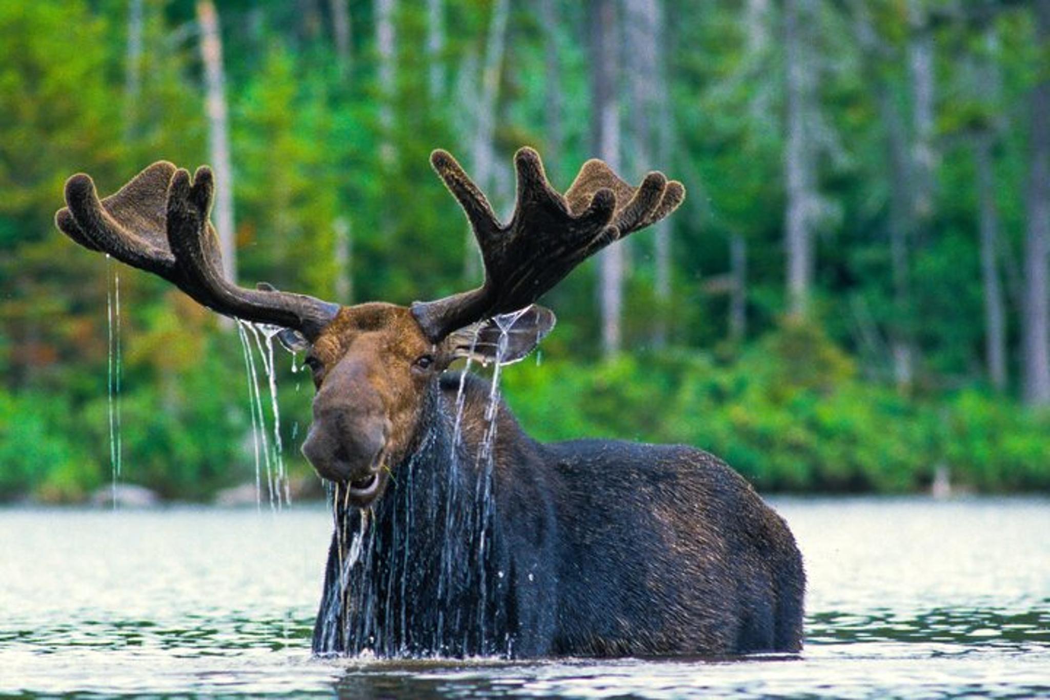 Grand Teton Adventure 8-Hour Tour - Image 5
