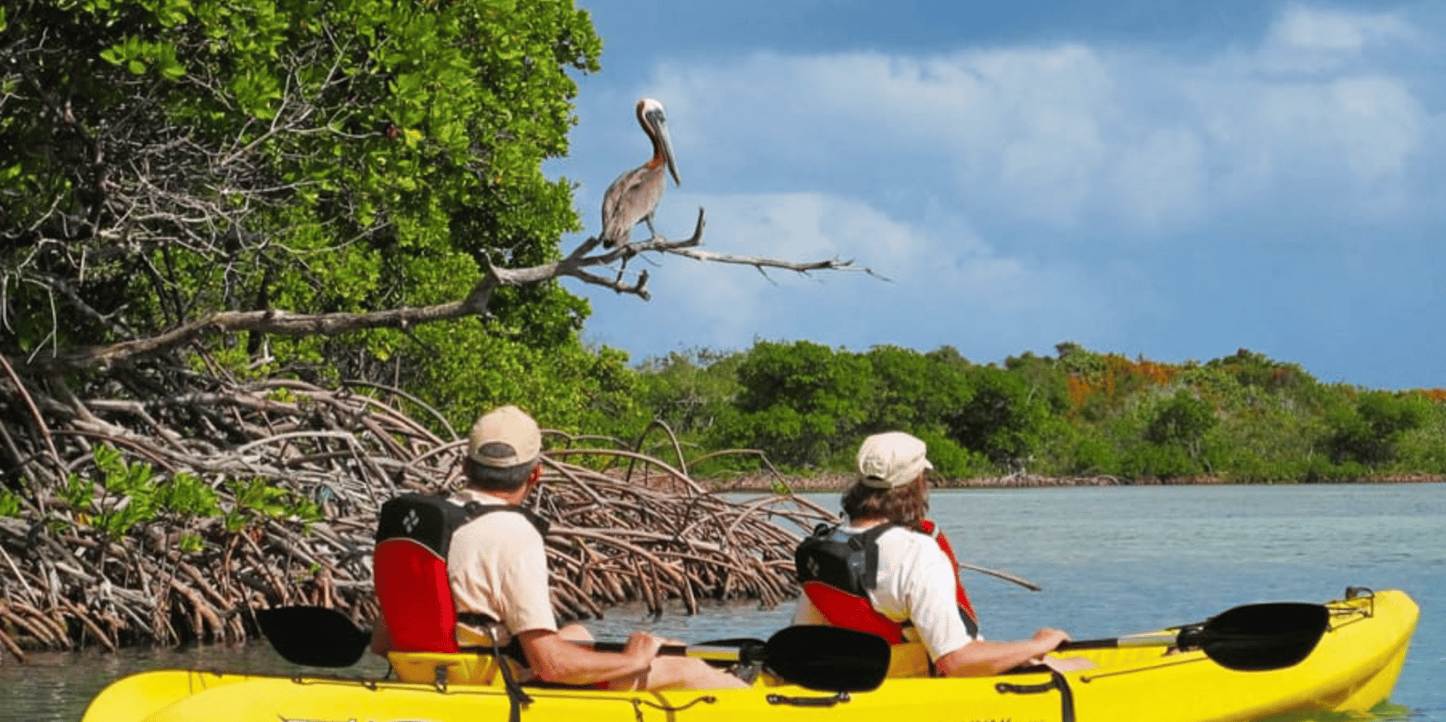 Miami Mangrove Exploration on SUP/Kayak