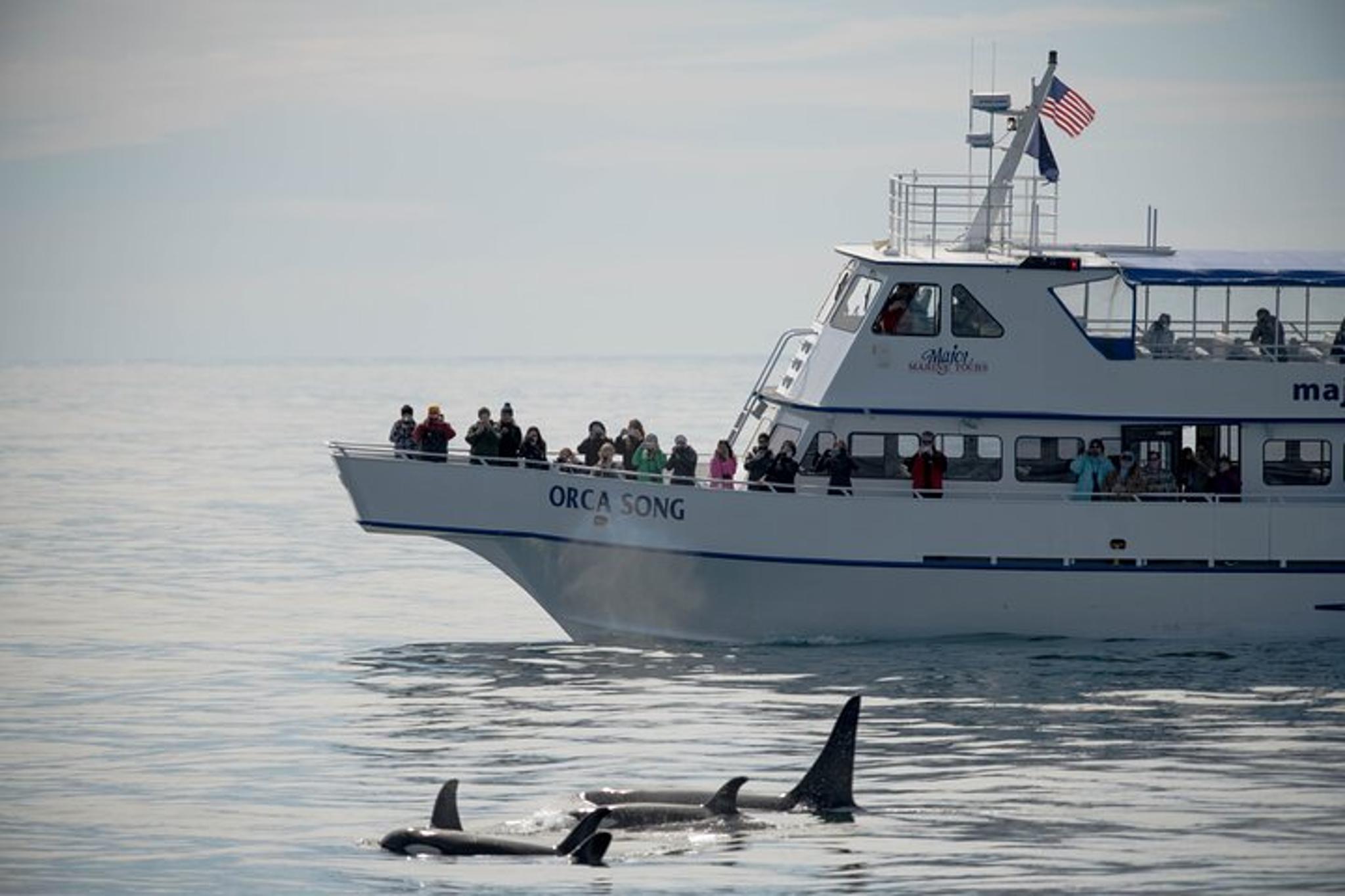 Seward Kenai Fjords National Park Cruise - Image 3
