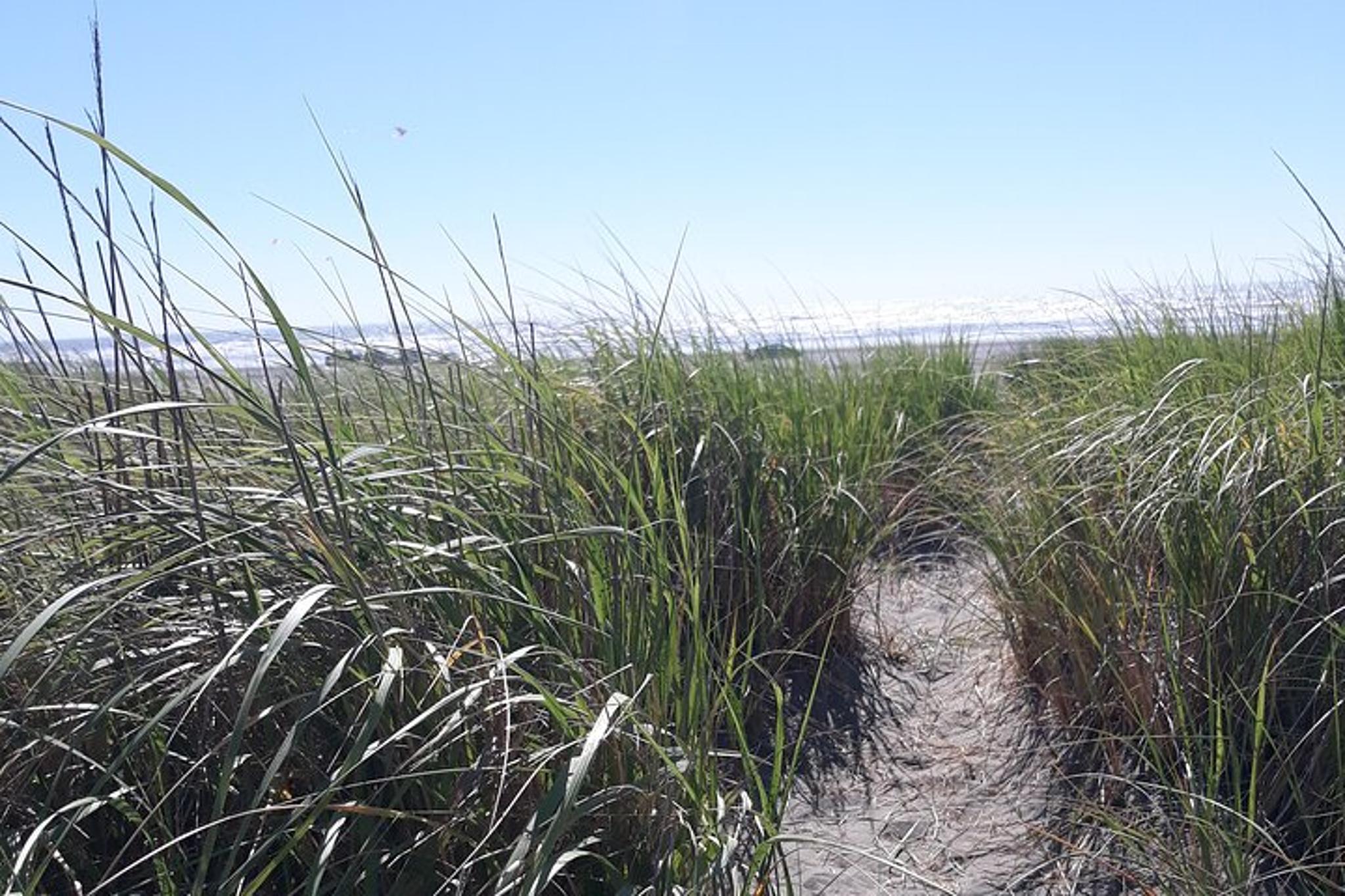 Long Beach Pacific Ocean Experience - Image 5